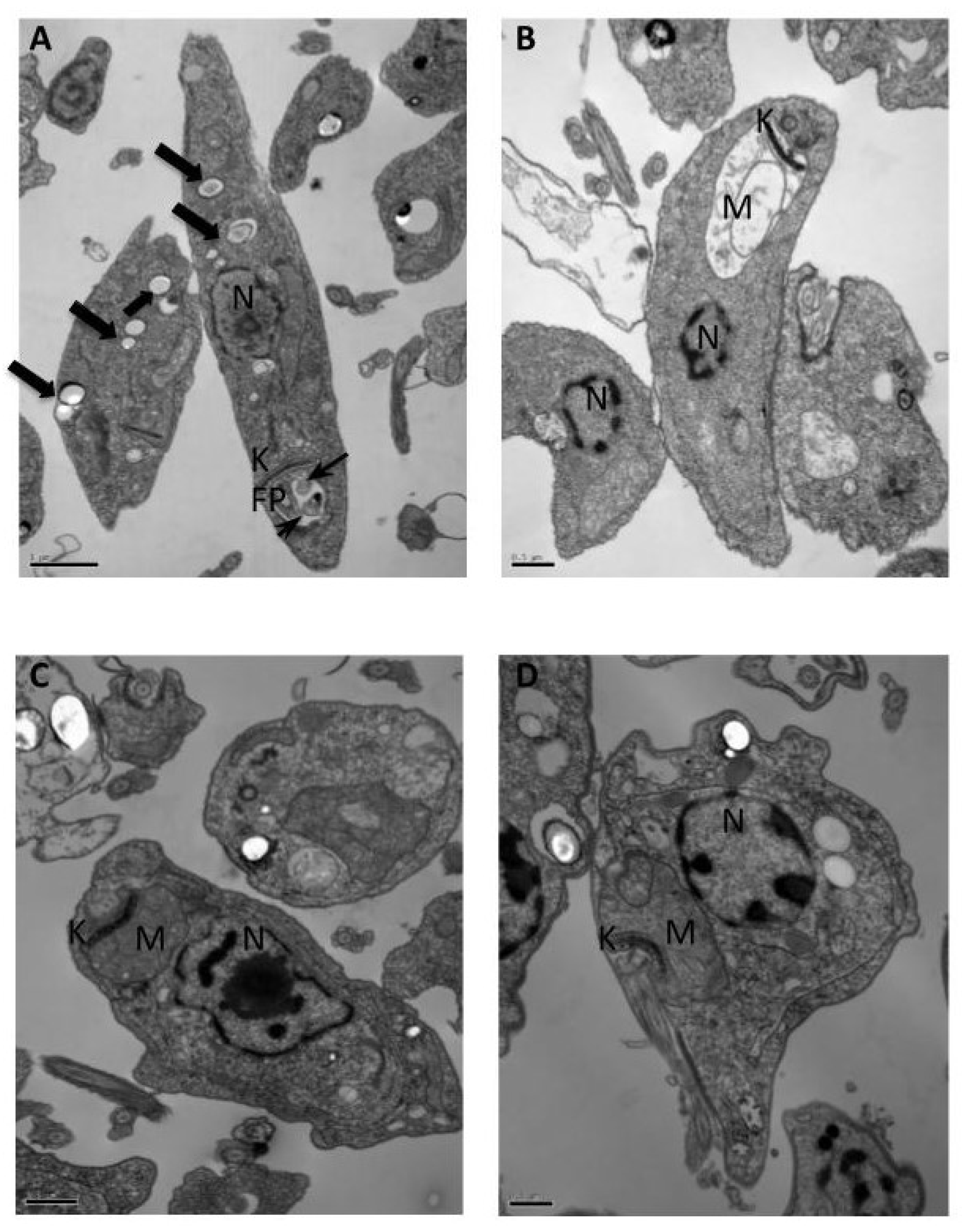 Molecules 25 00037 g003