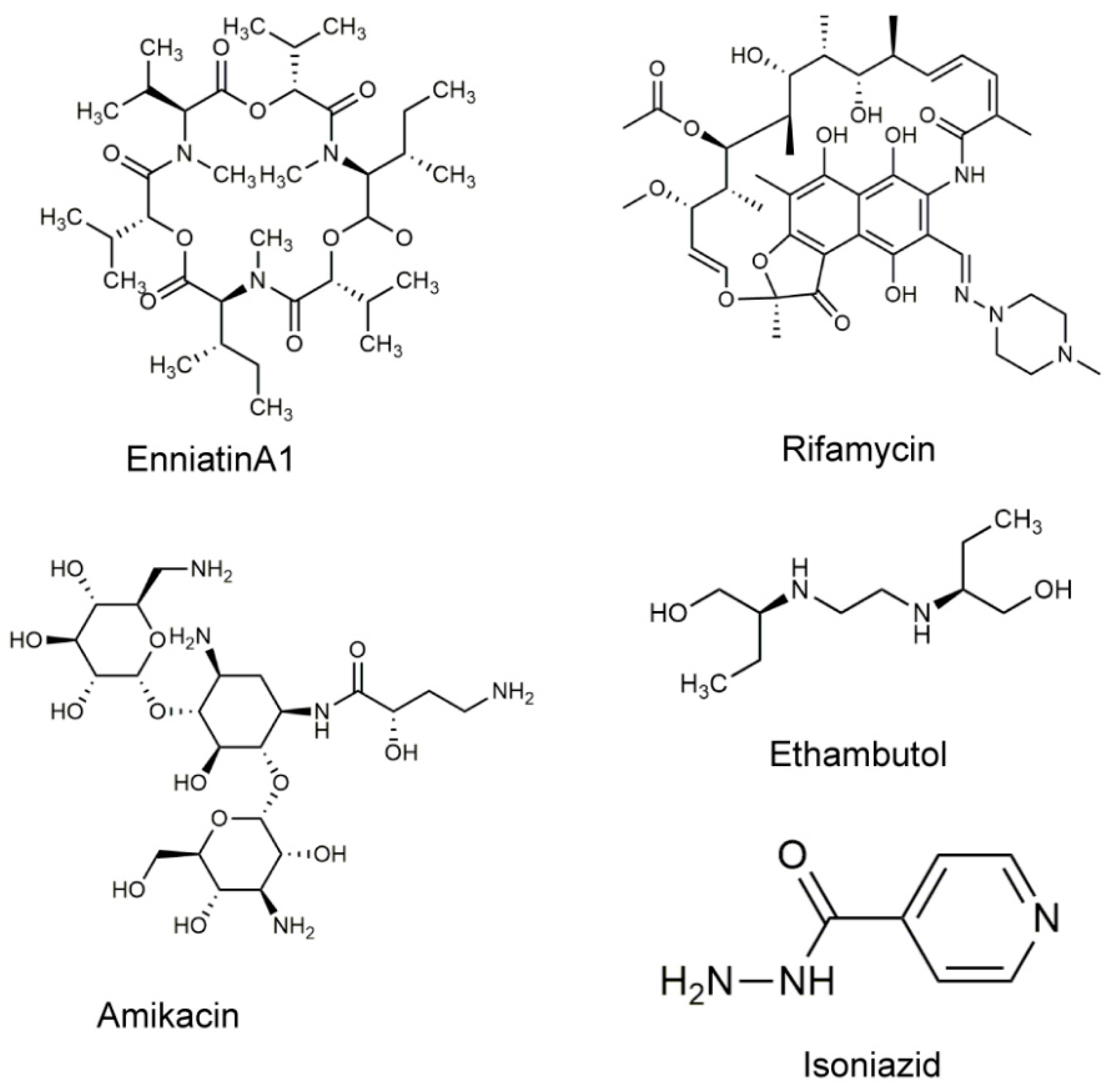 Molecules 25 00038 g001