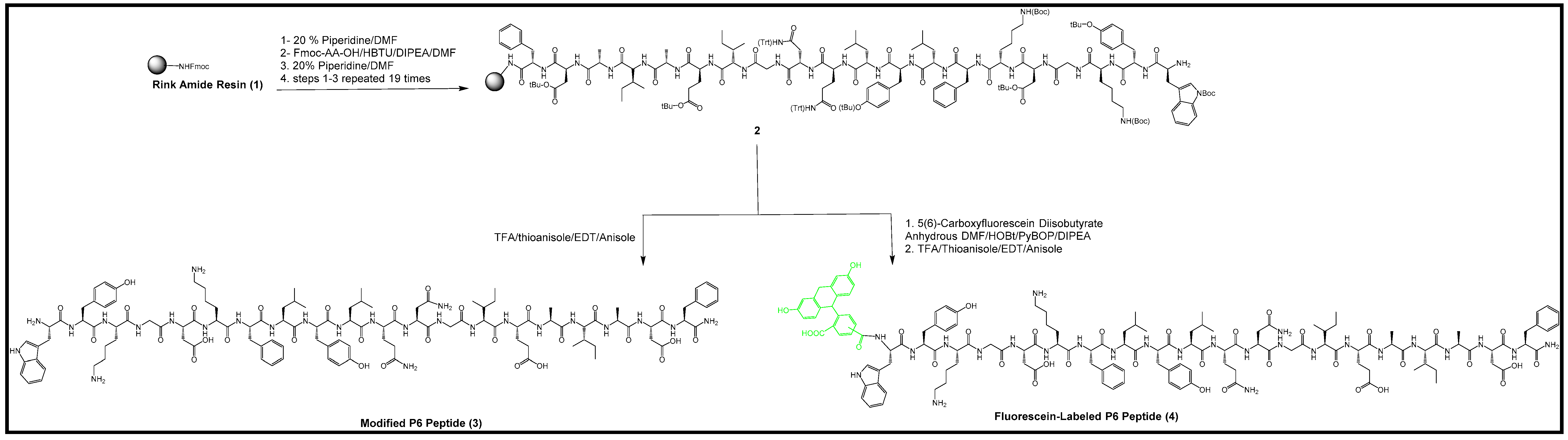 Molecules 25 00046 sch001