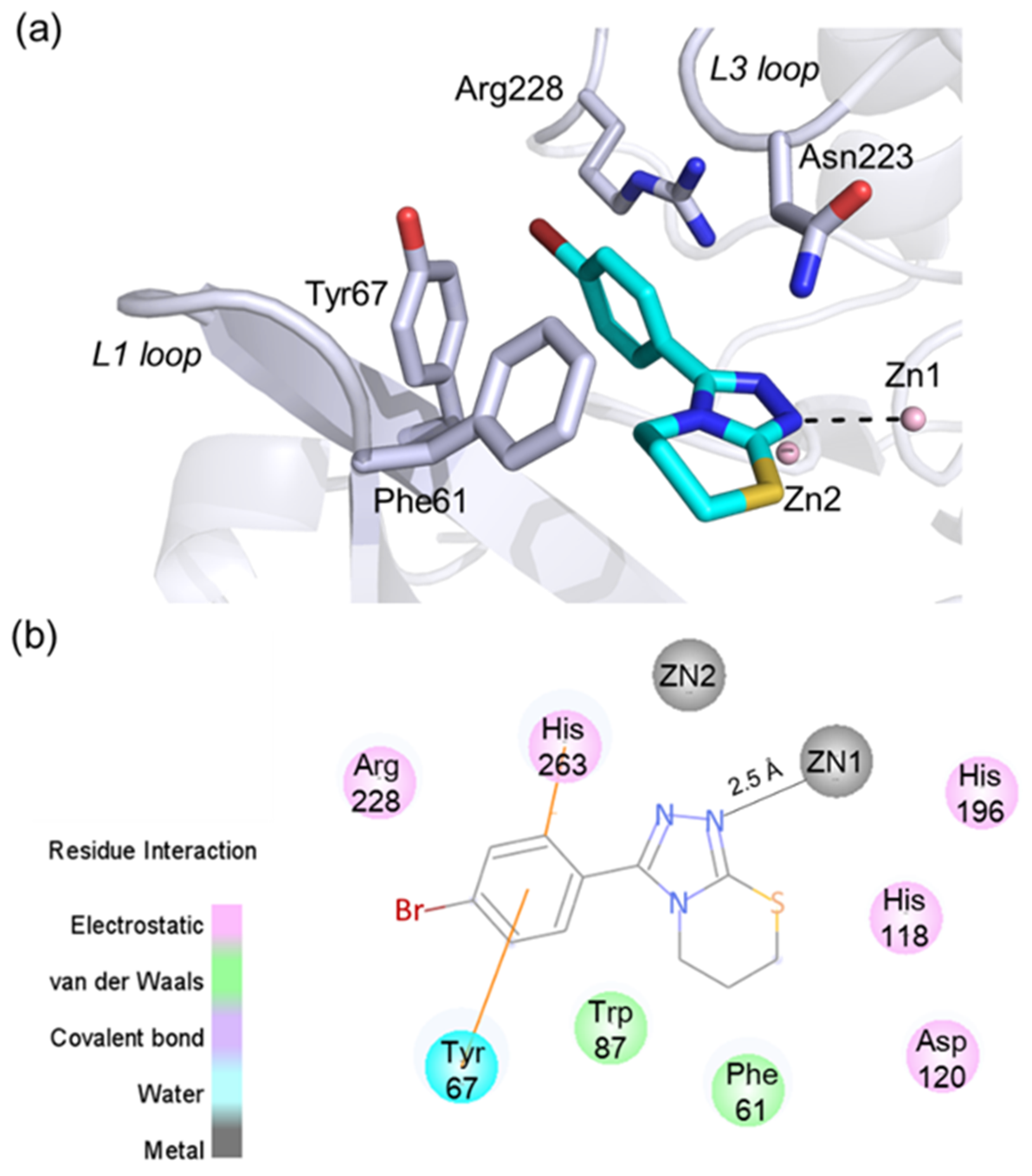 Molecules 25 00056 g005