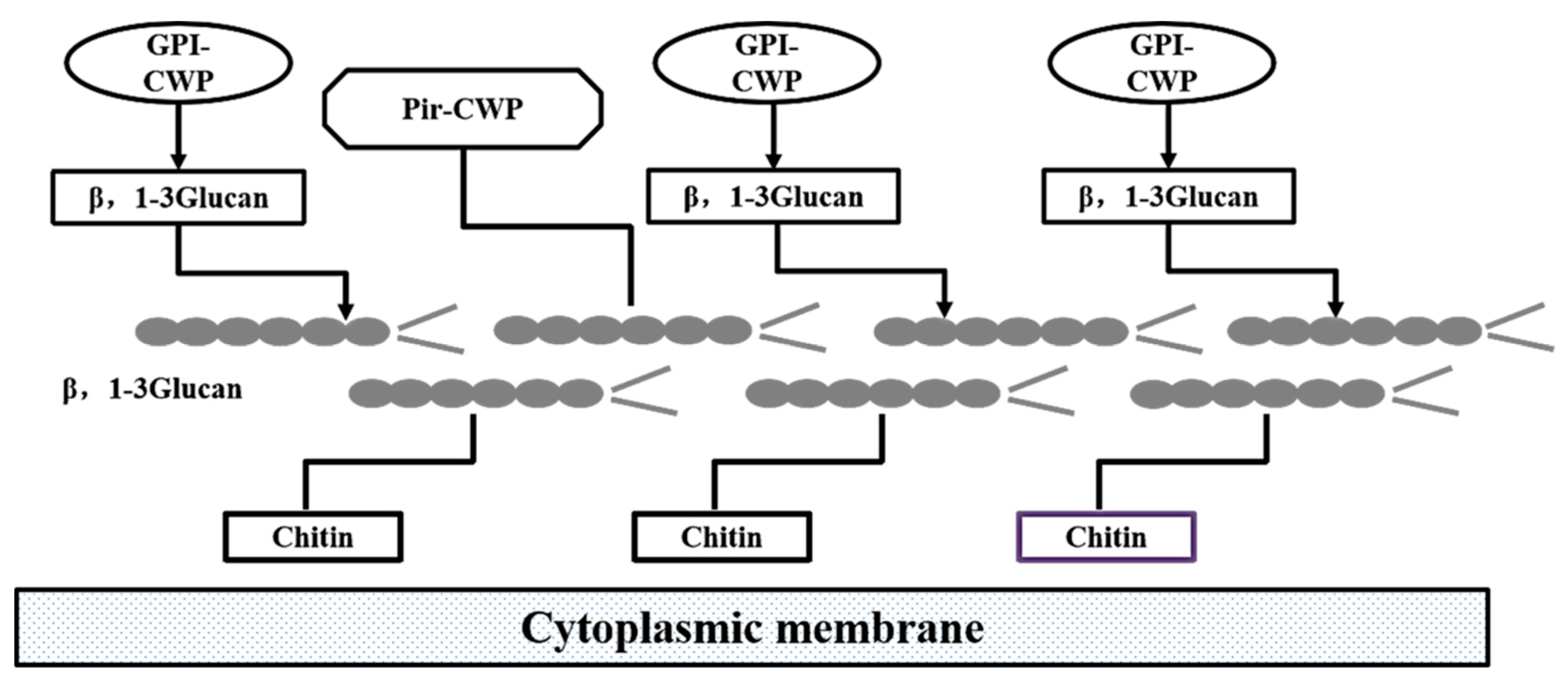 Molecules 25 00057 g001 Molecules 25 00057 g001