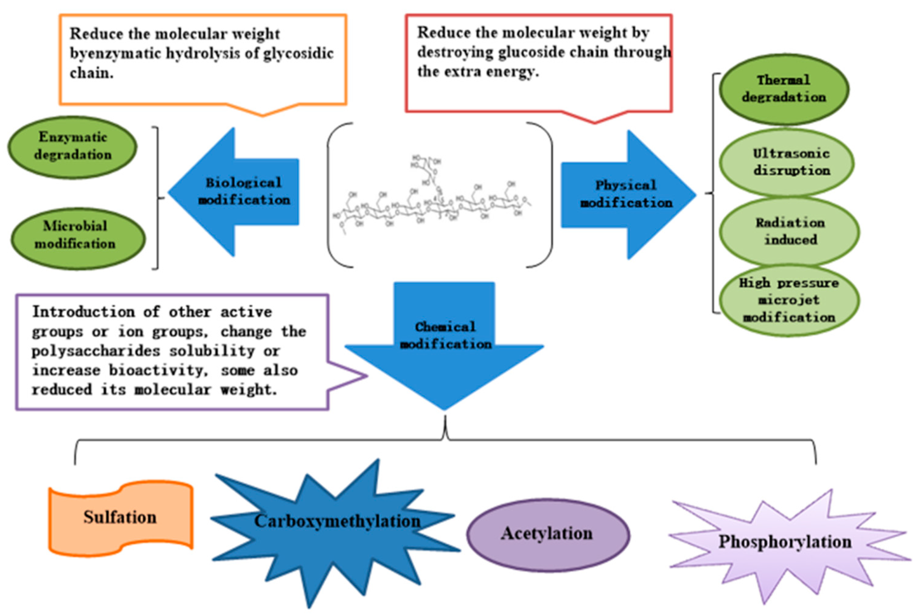 Molecules 25 00057 g004 Molecules 25 00057 g004