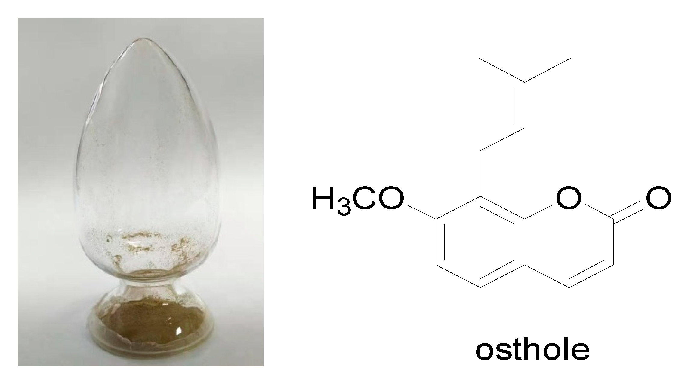 Molecules 25 00065 g002