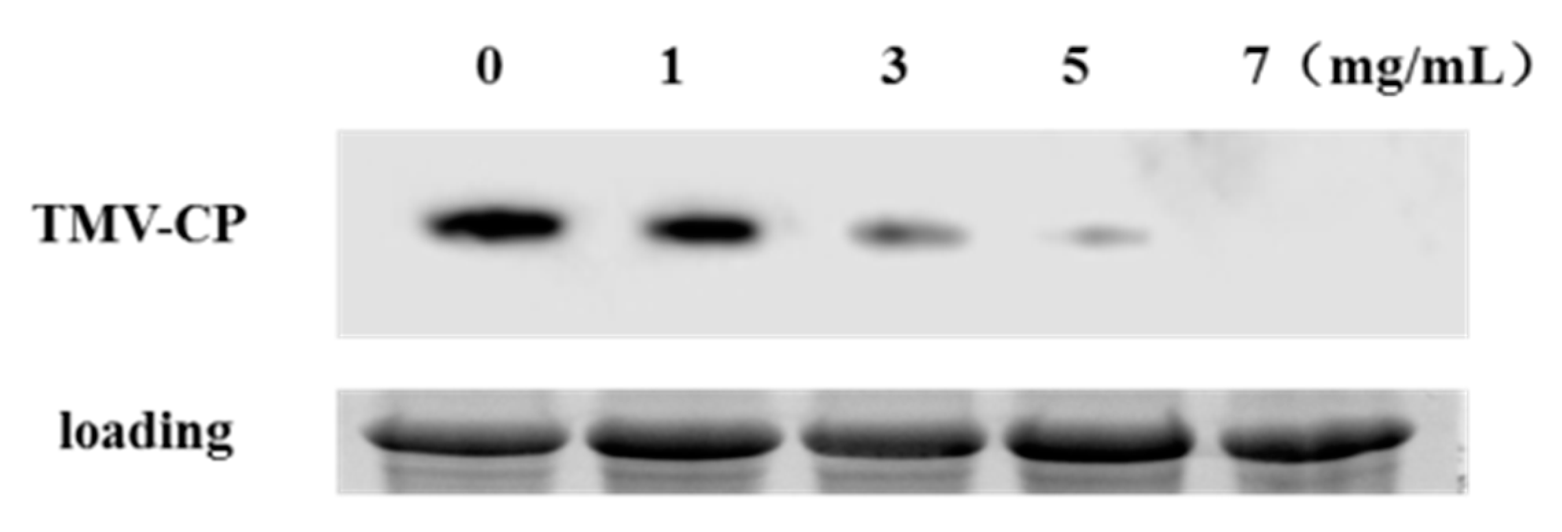 Molecules 25 00065 g006
