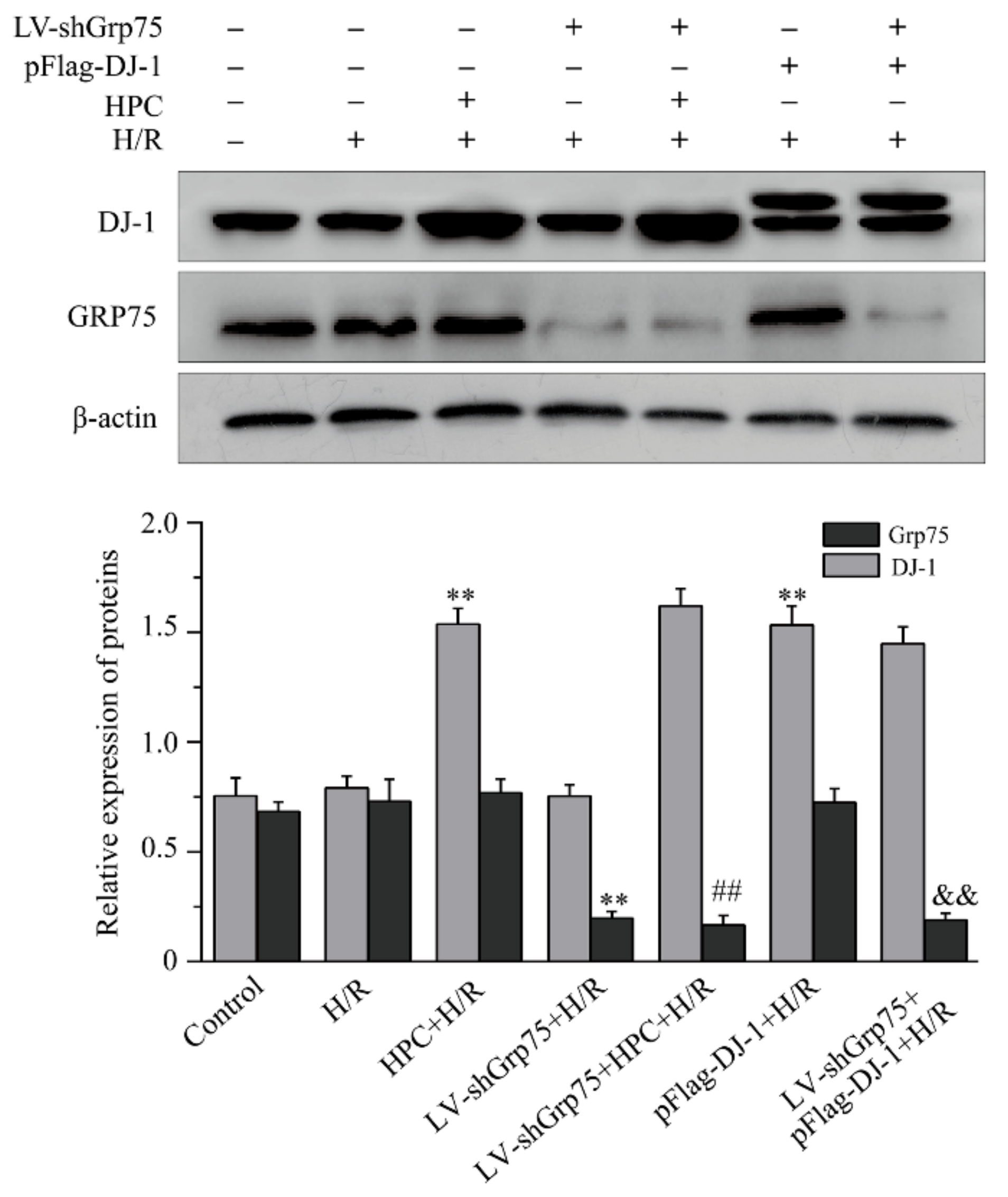 Molecules 25 00071 g002