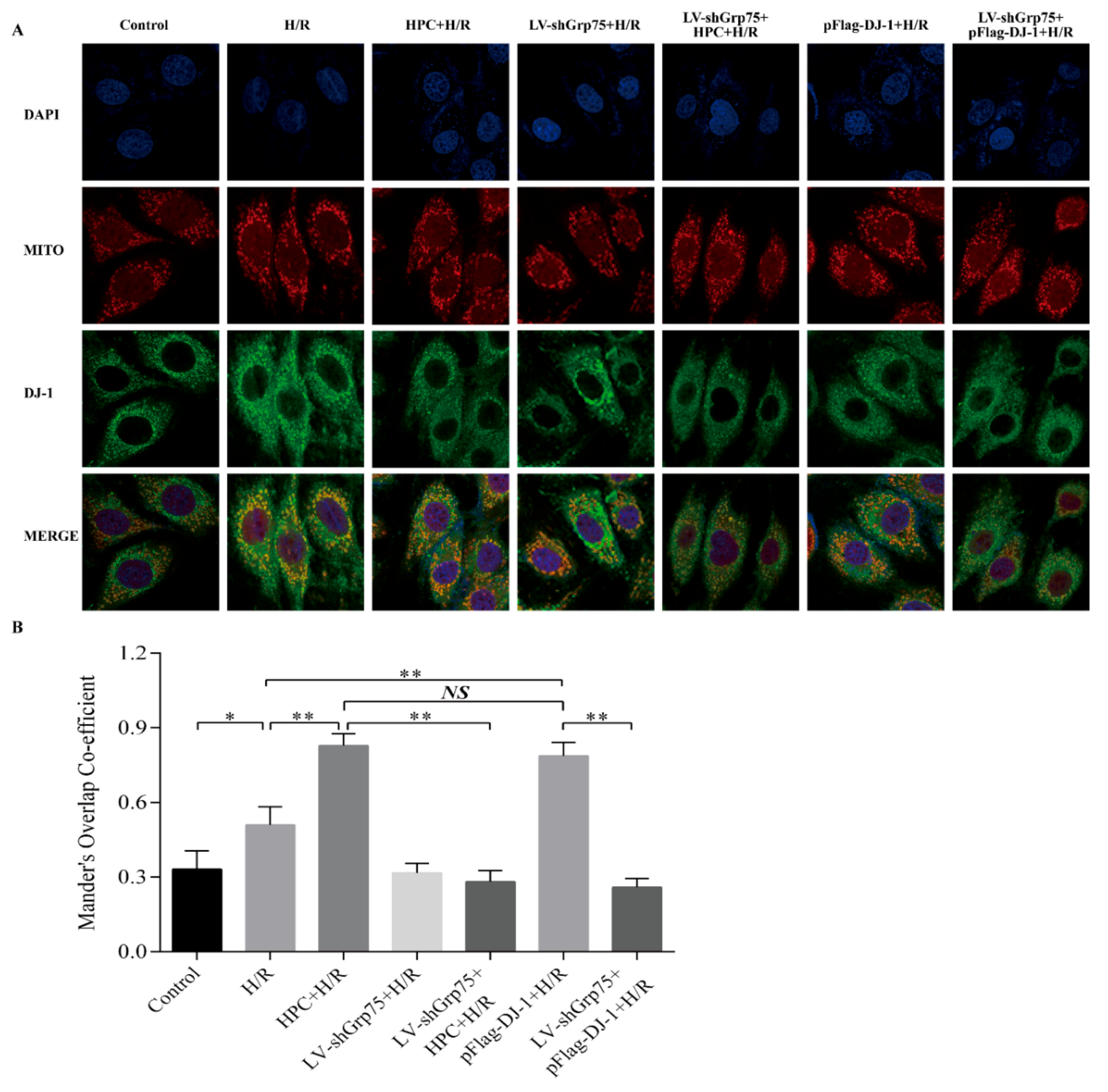 Molecules 25 00071 g003