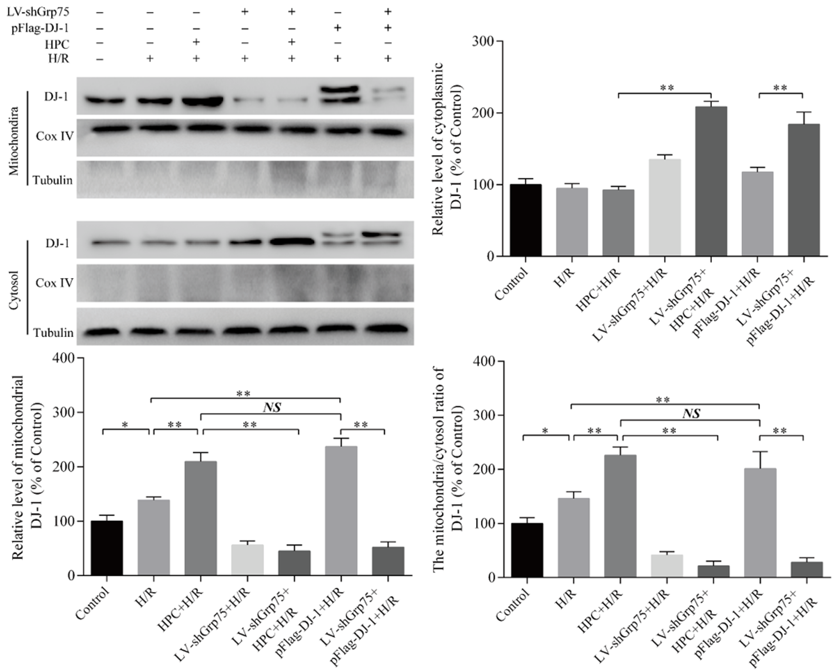 Molecules 25 00071 g004