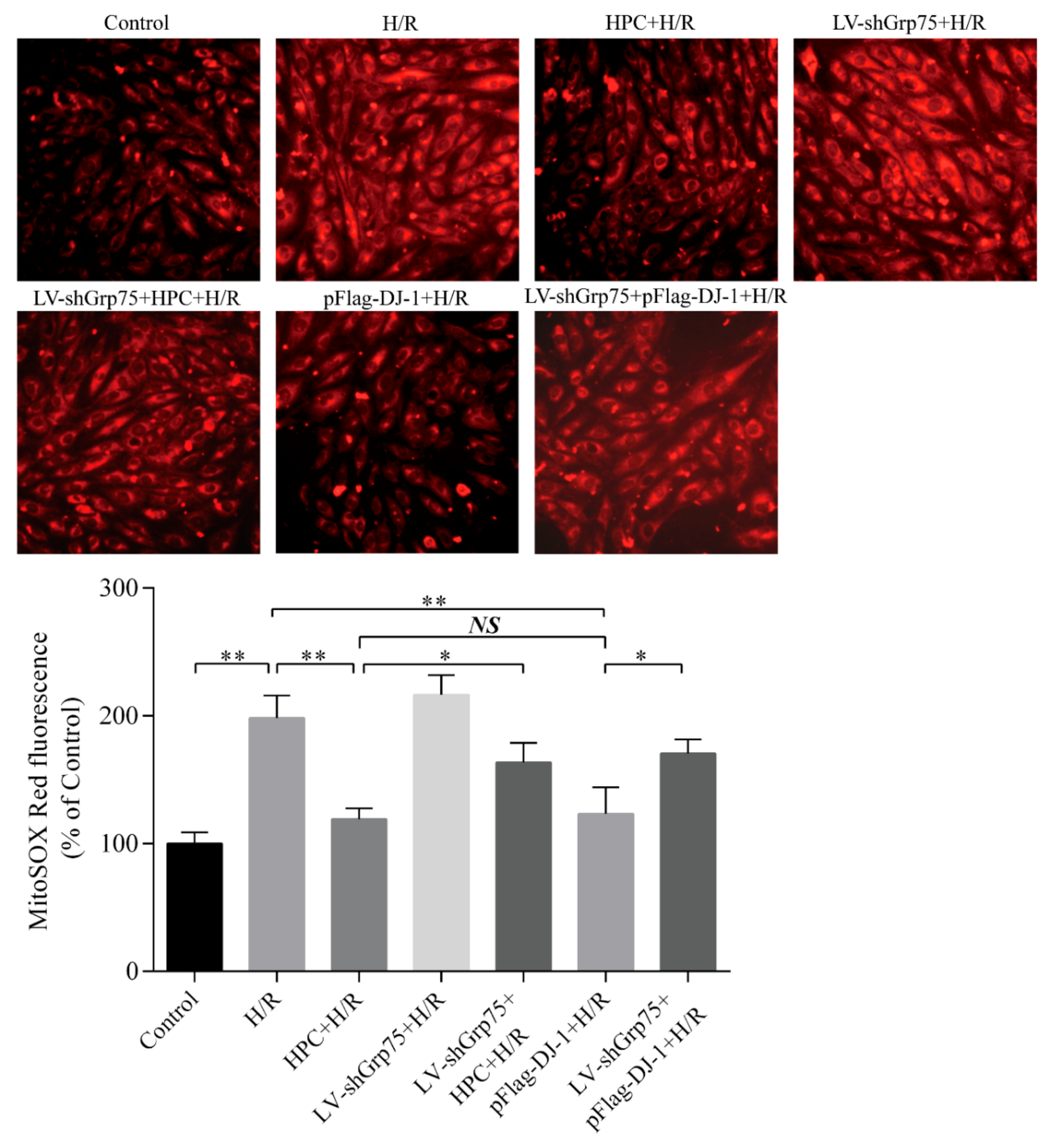 Molecules 25 00071 g006