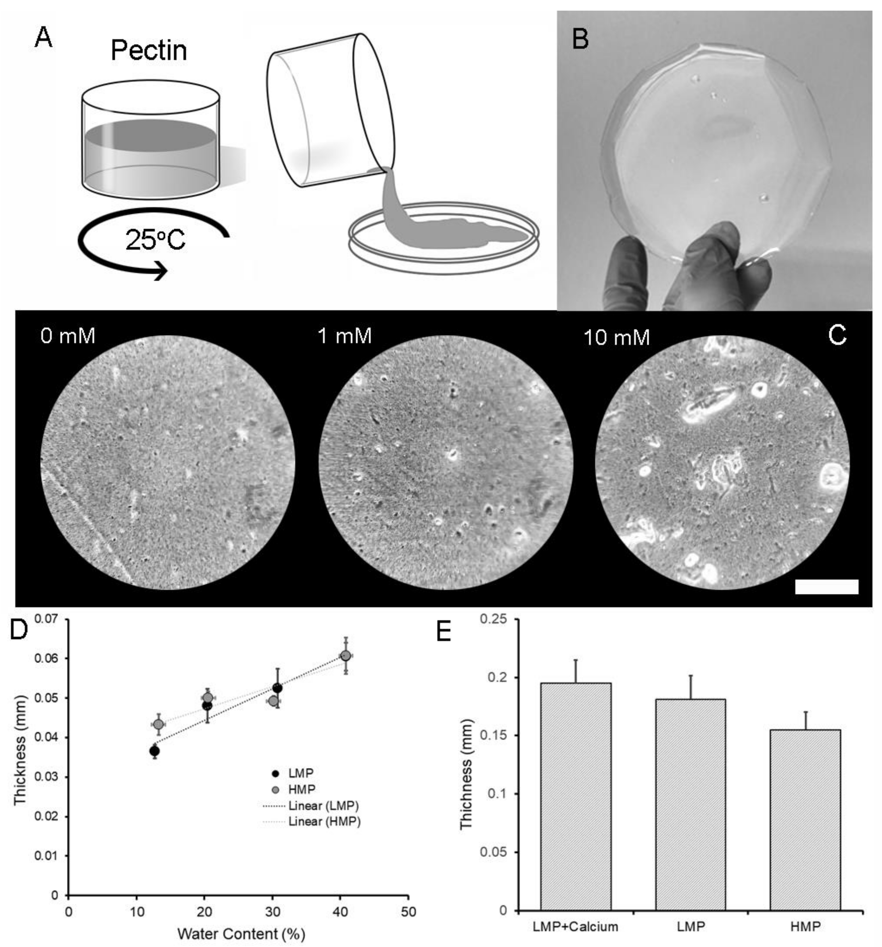 Molecules 25 00075 g001