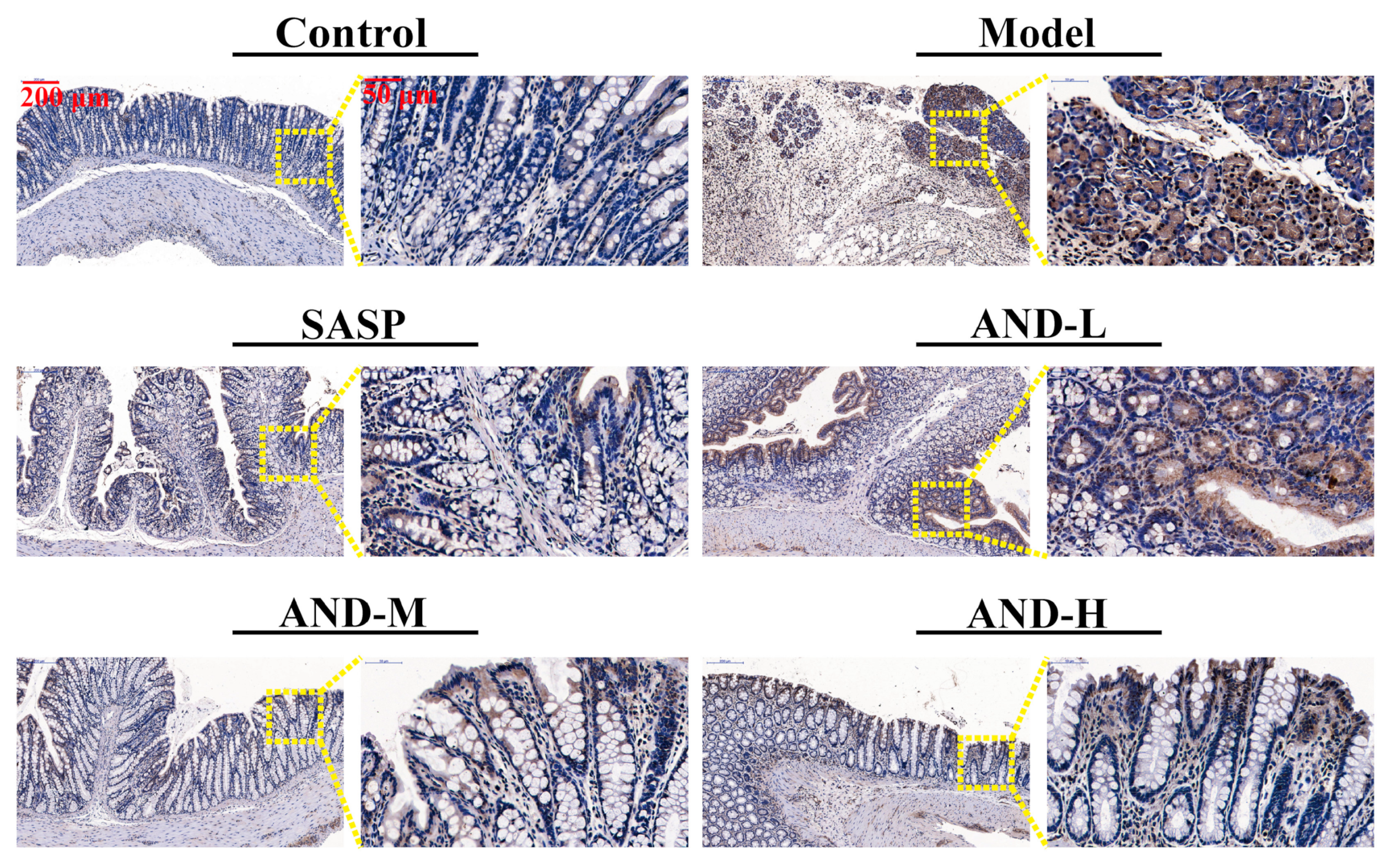 Molecules 25 00076 g003 Molecules 25 00076 g003