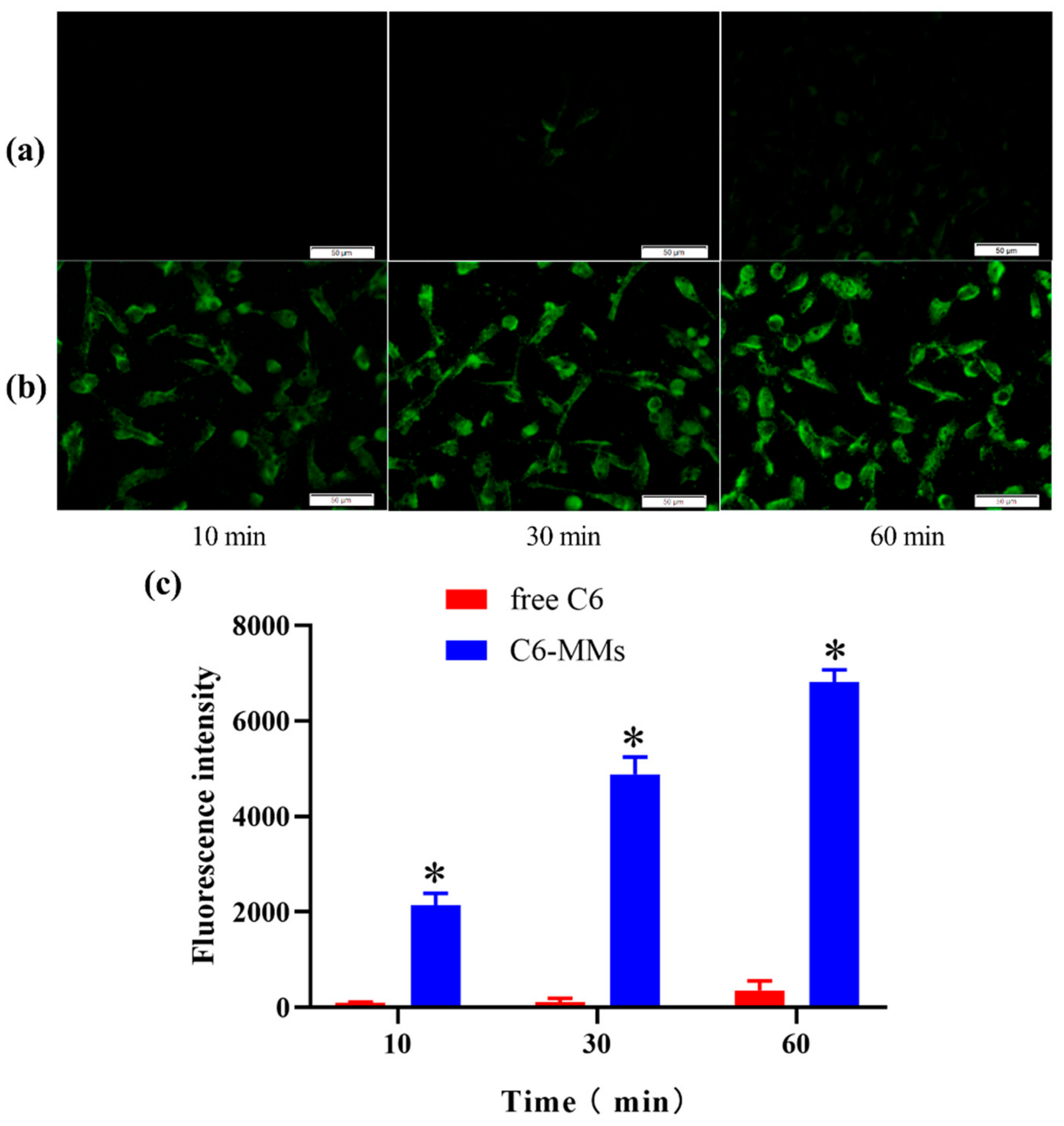 Molecules 25 00081 g003