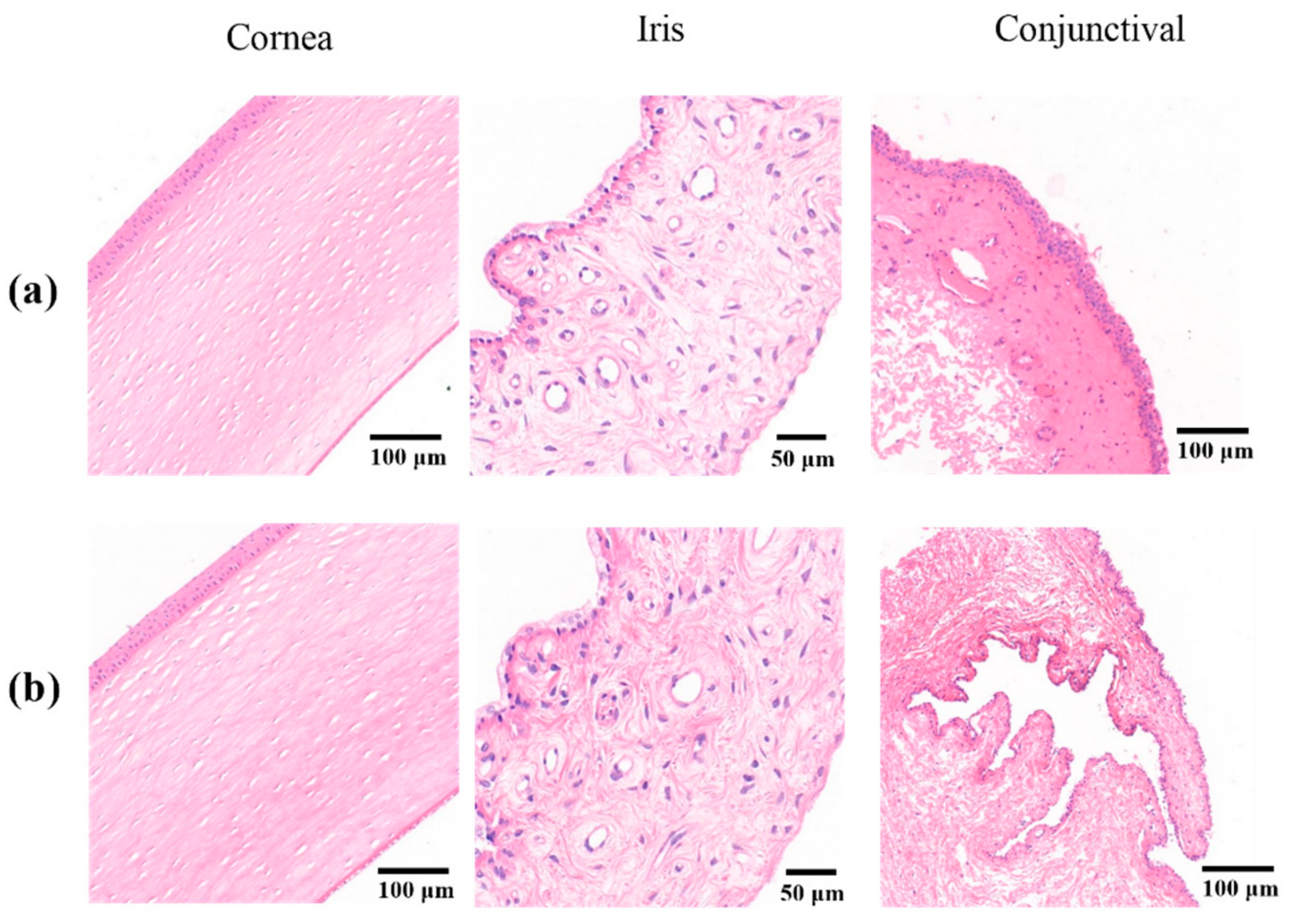 Molecules 25 00081 g007