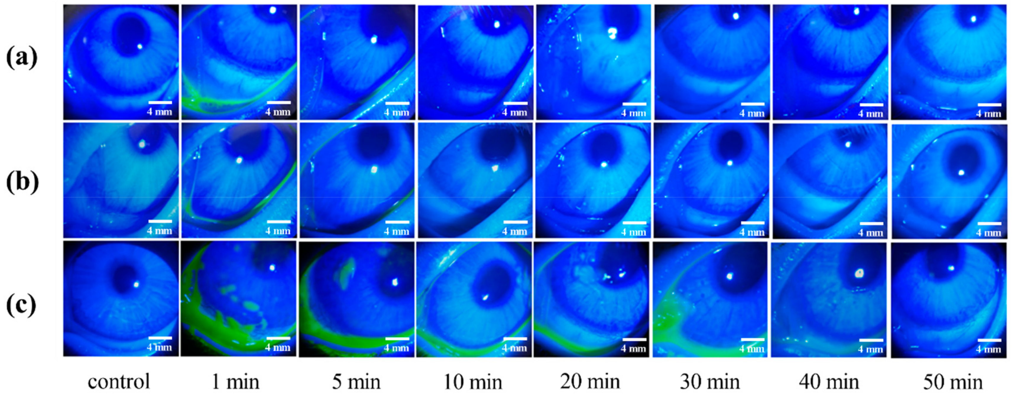 Molecules 25 00081 g008