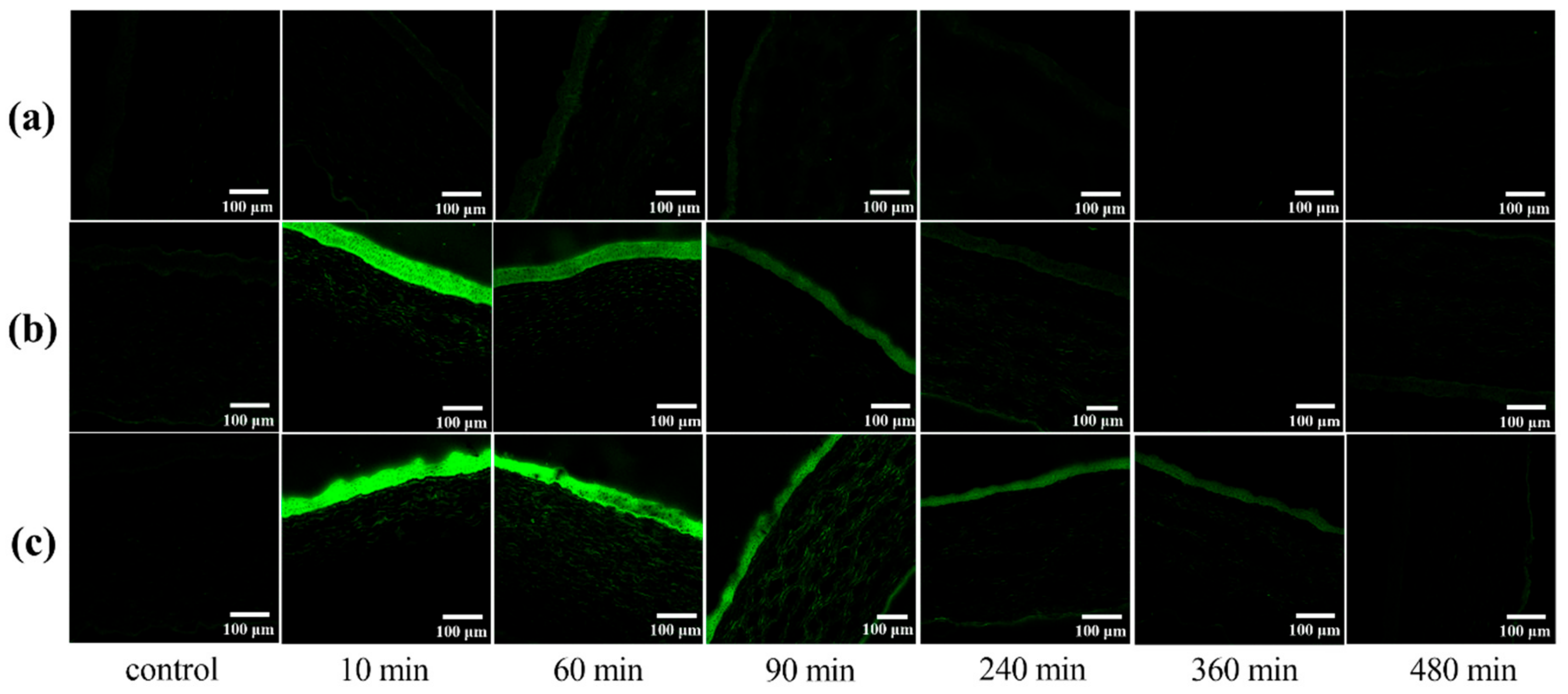 Molecules 25 00081 g009
