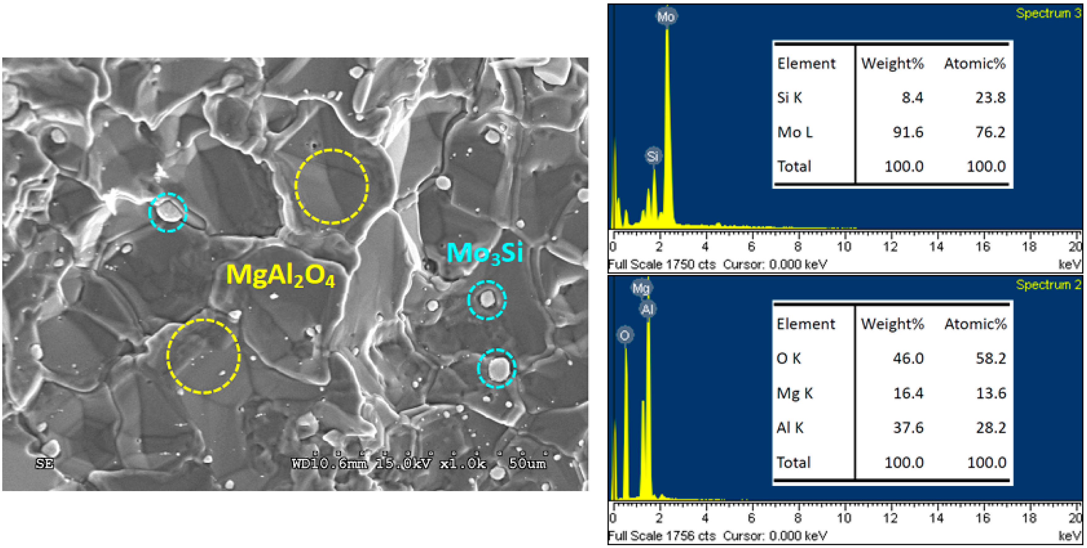 Molecules 25 00083 g007