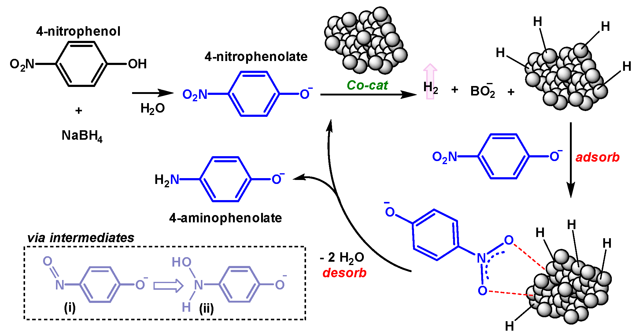 Molecules 25 00089 g005