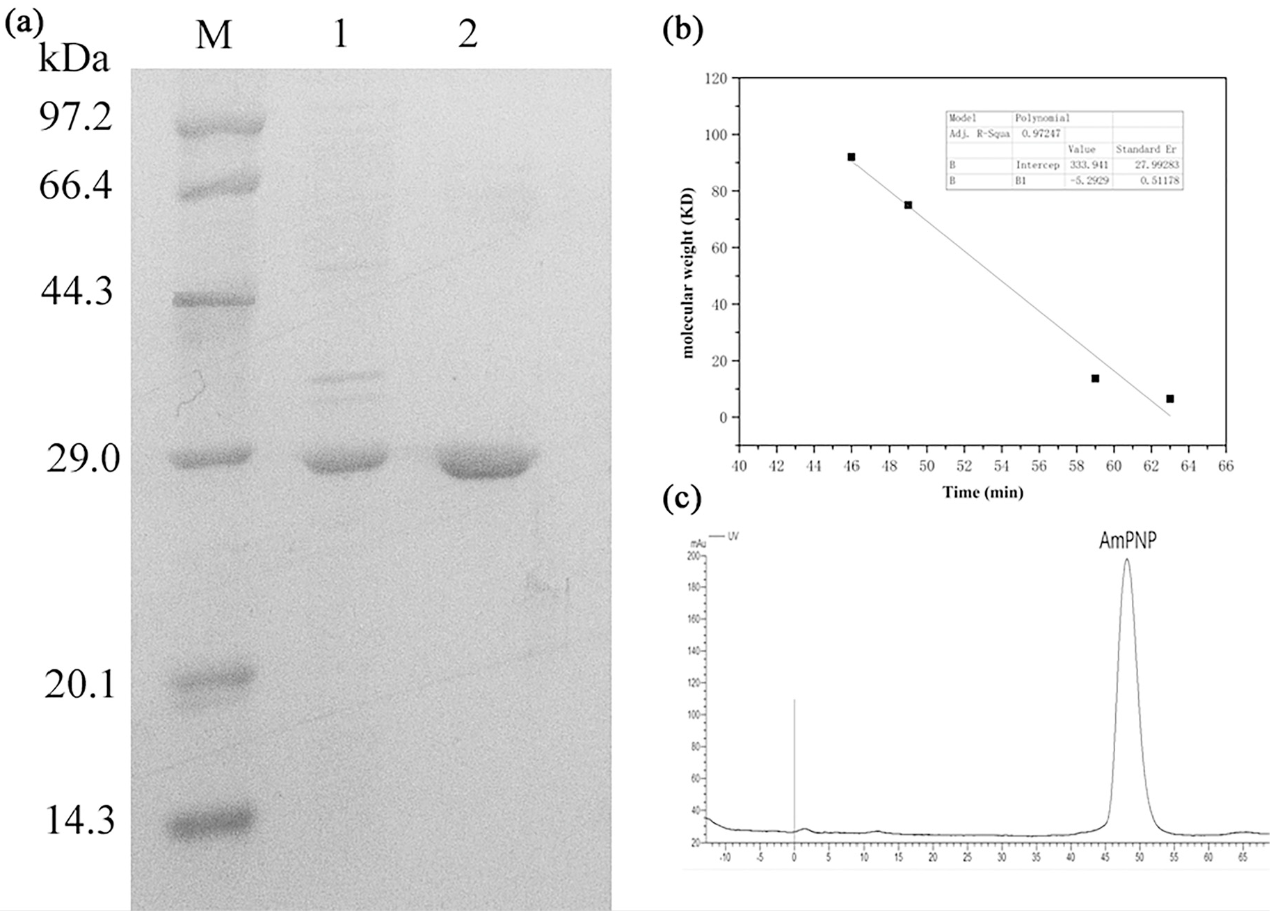 Molecules 25 00100 g002 Molecules 25 00100 g002