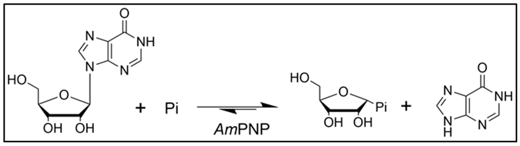 Molecules 25 00100 sch001 Molecules 25 00100 sch001