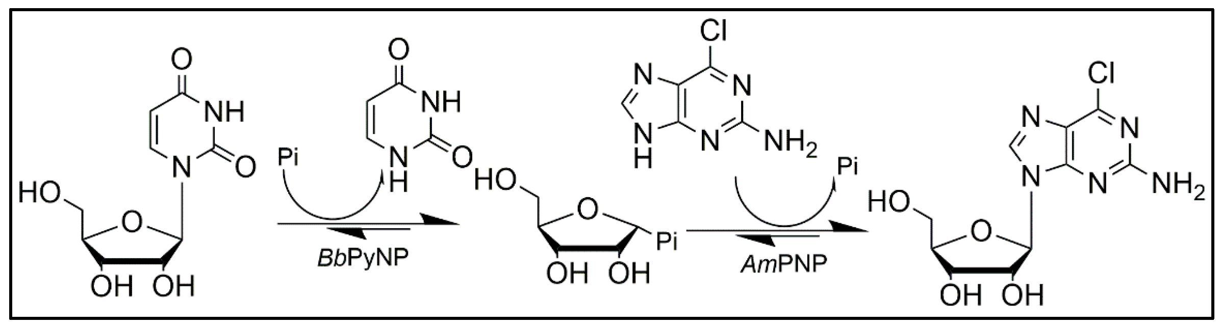 Molecules 25 00100 sch002 Molecules 25 00100 sch002