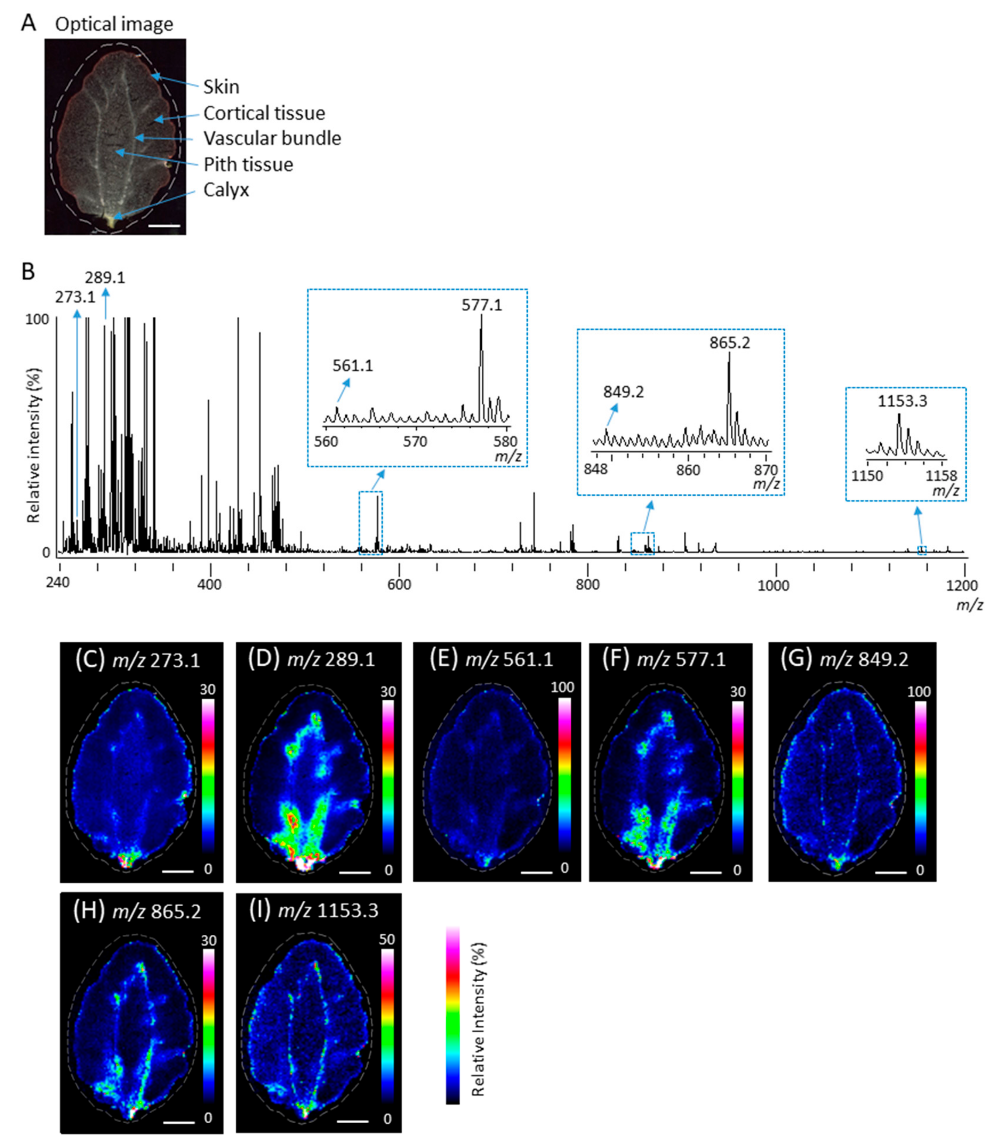 Molecules 25 00103 g002 Molecules 25 00103 g002