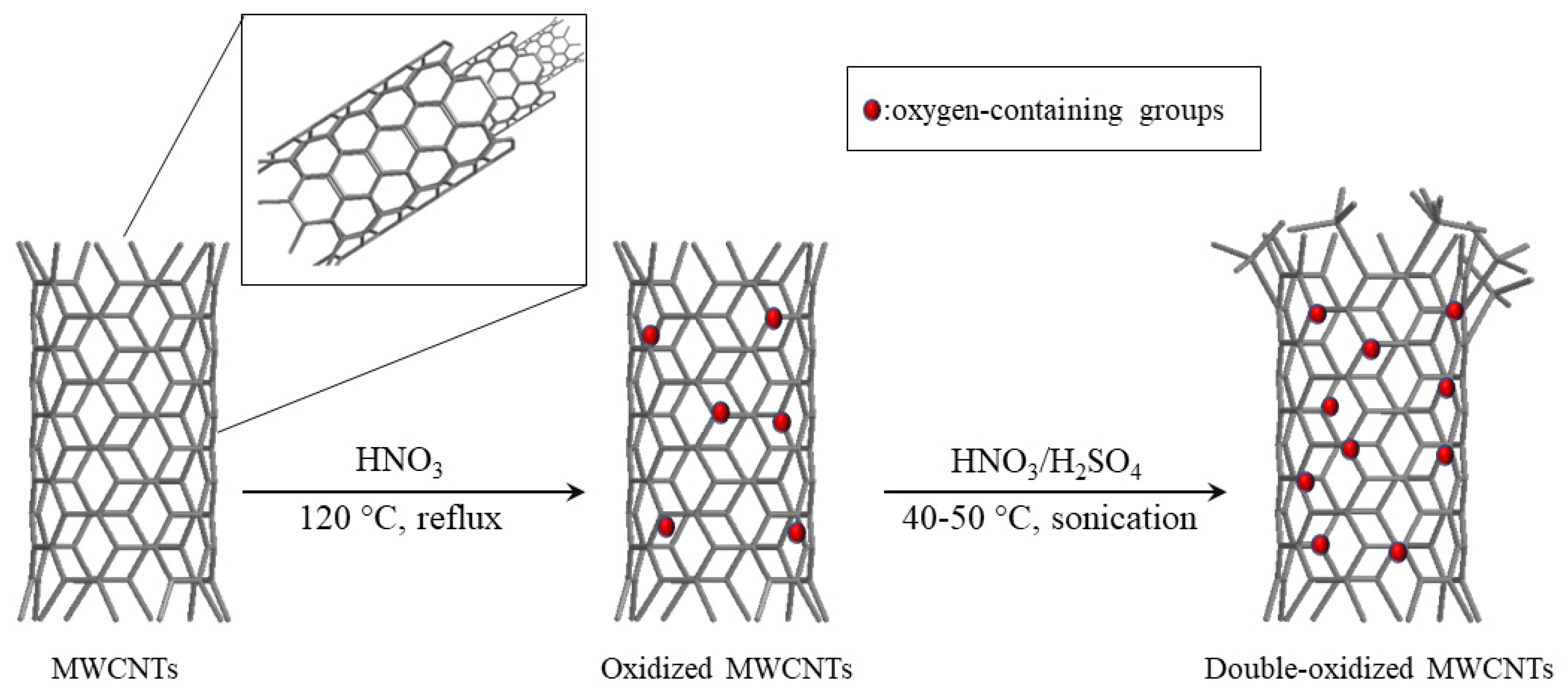 Molecules 25 00111 g010