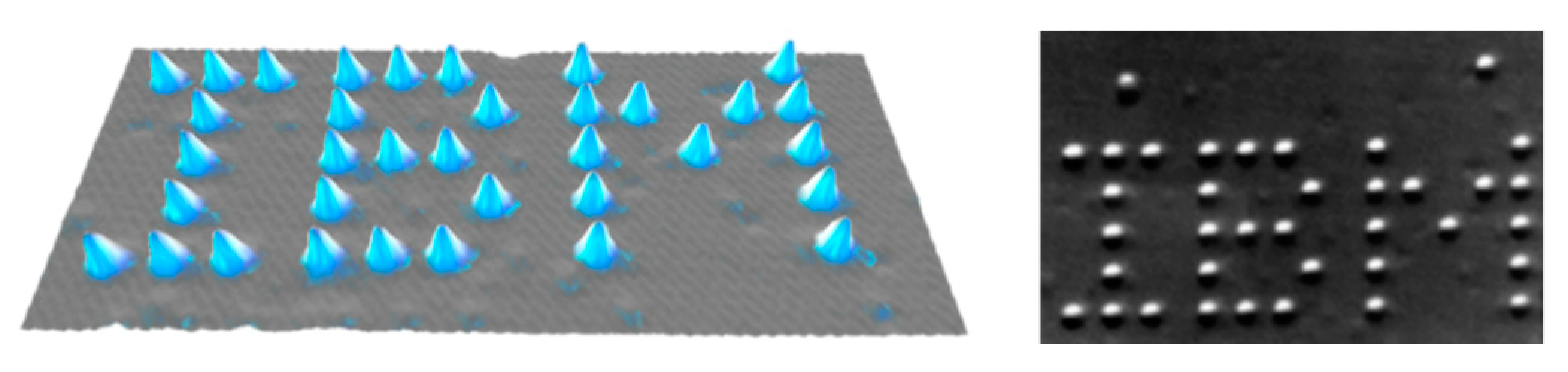 Molecules 25 00112 g007