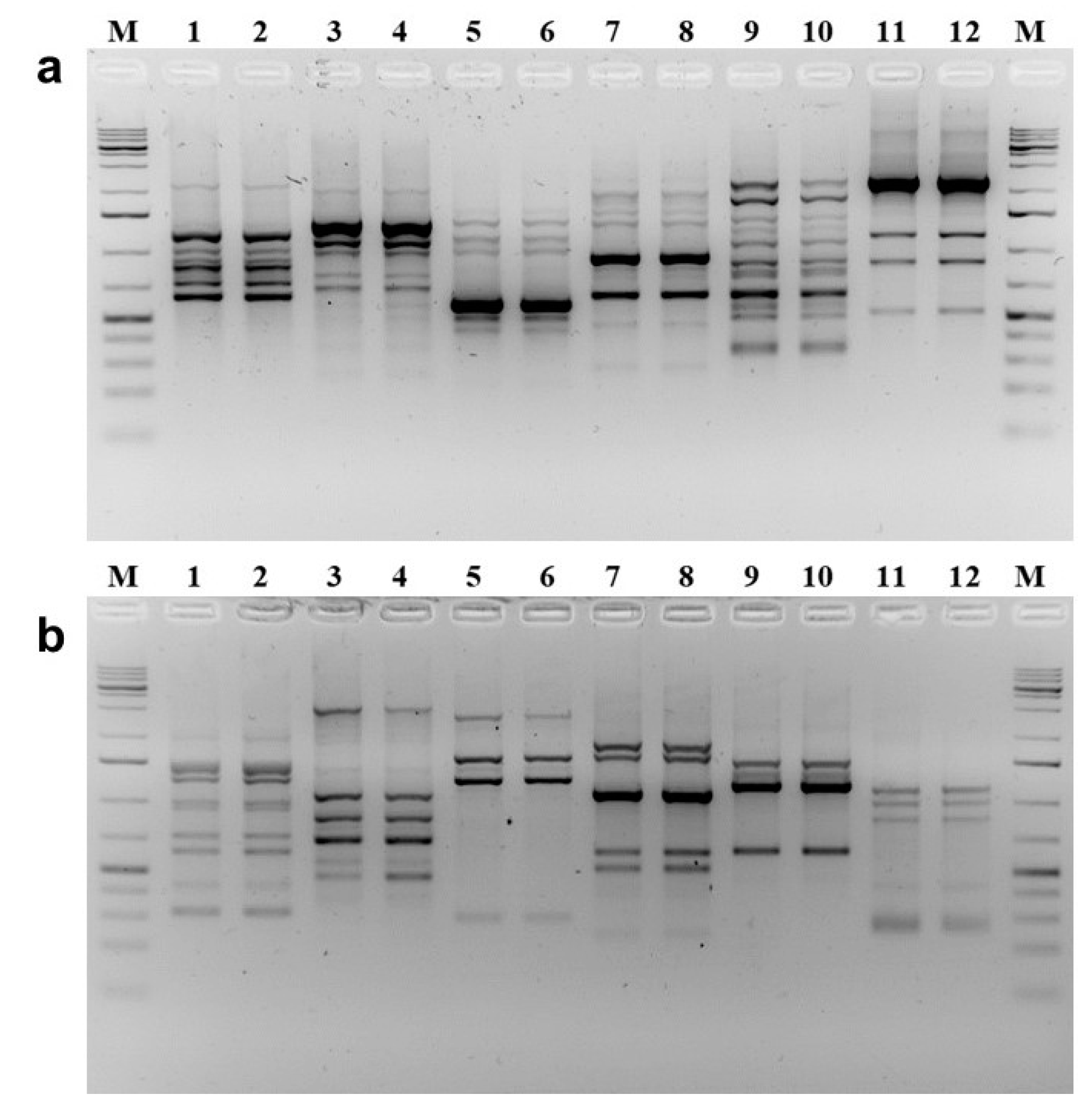 Molecules 25 00113 g007 Molecules 25 00113 g007