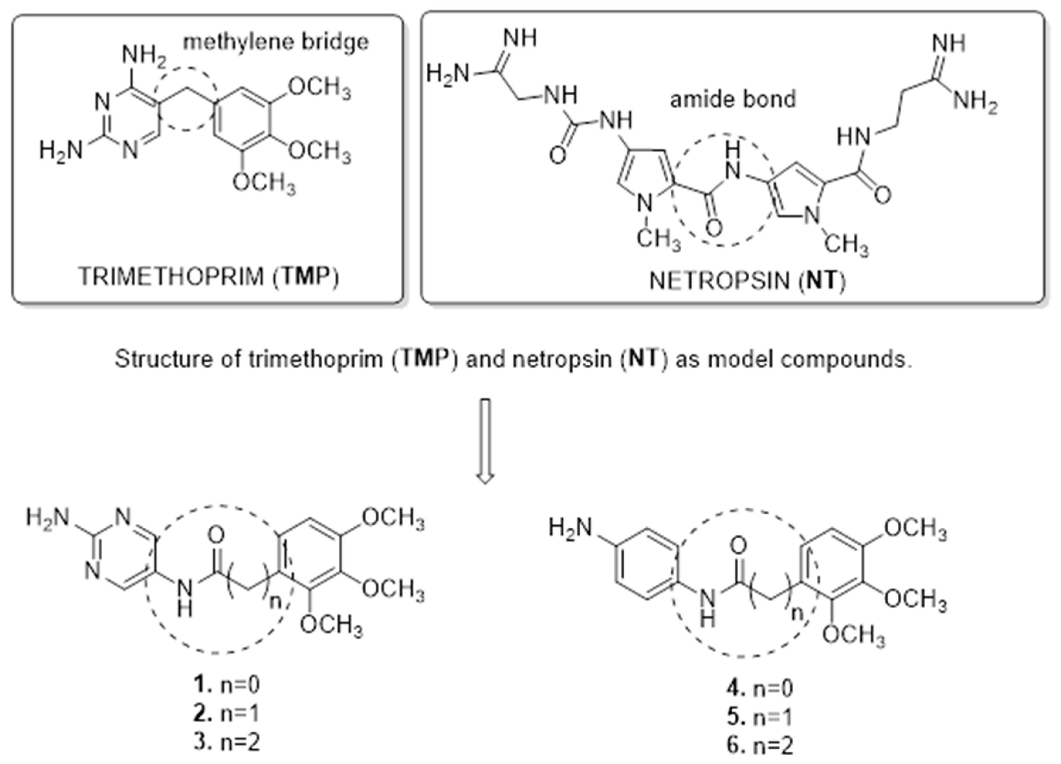 Molecules 25 00116 g002