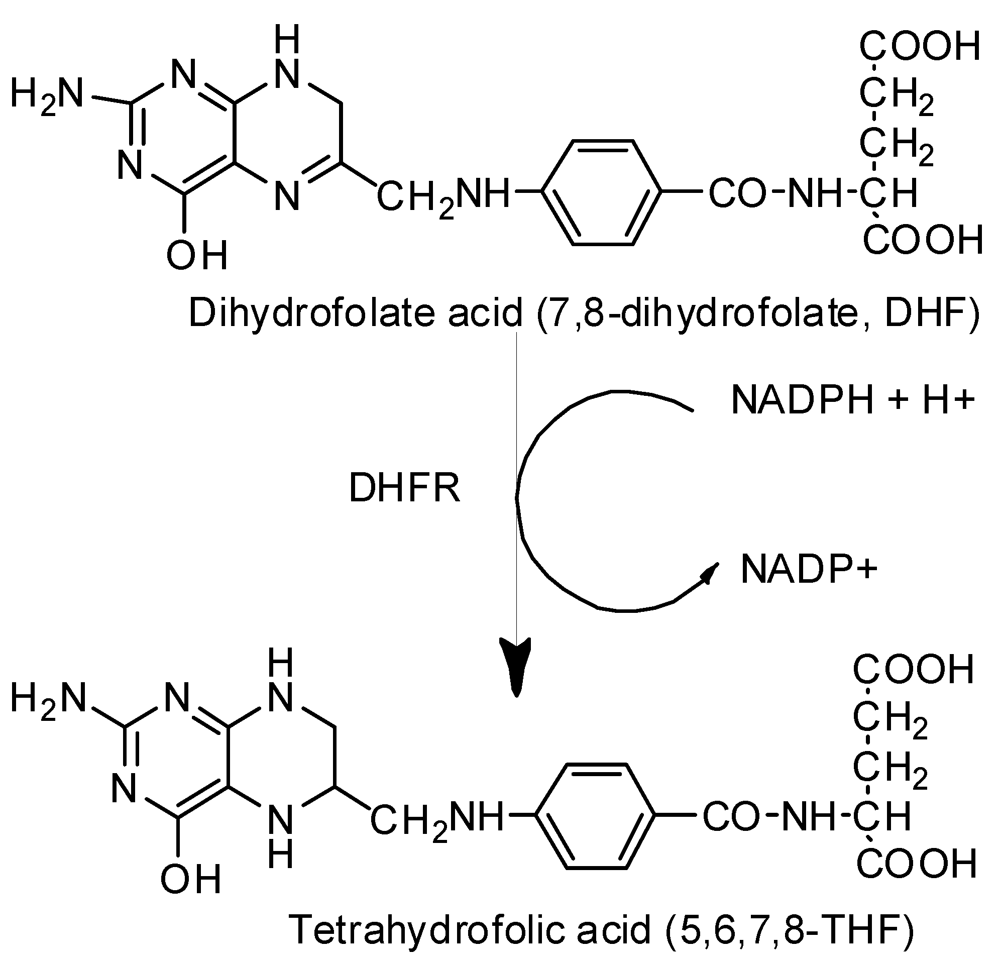 Molecules 25 00116 sch001