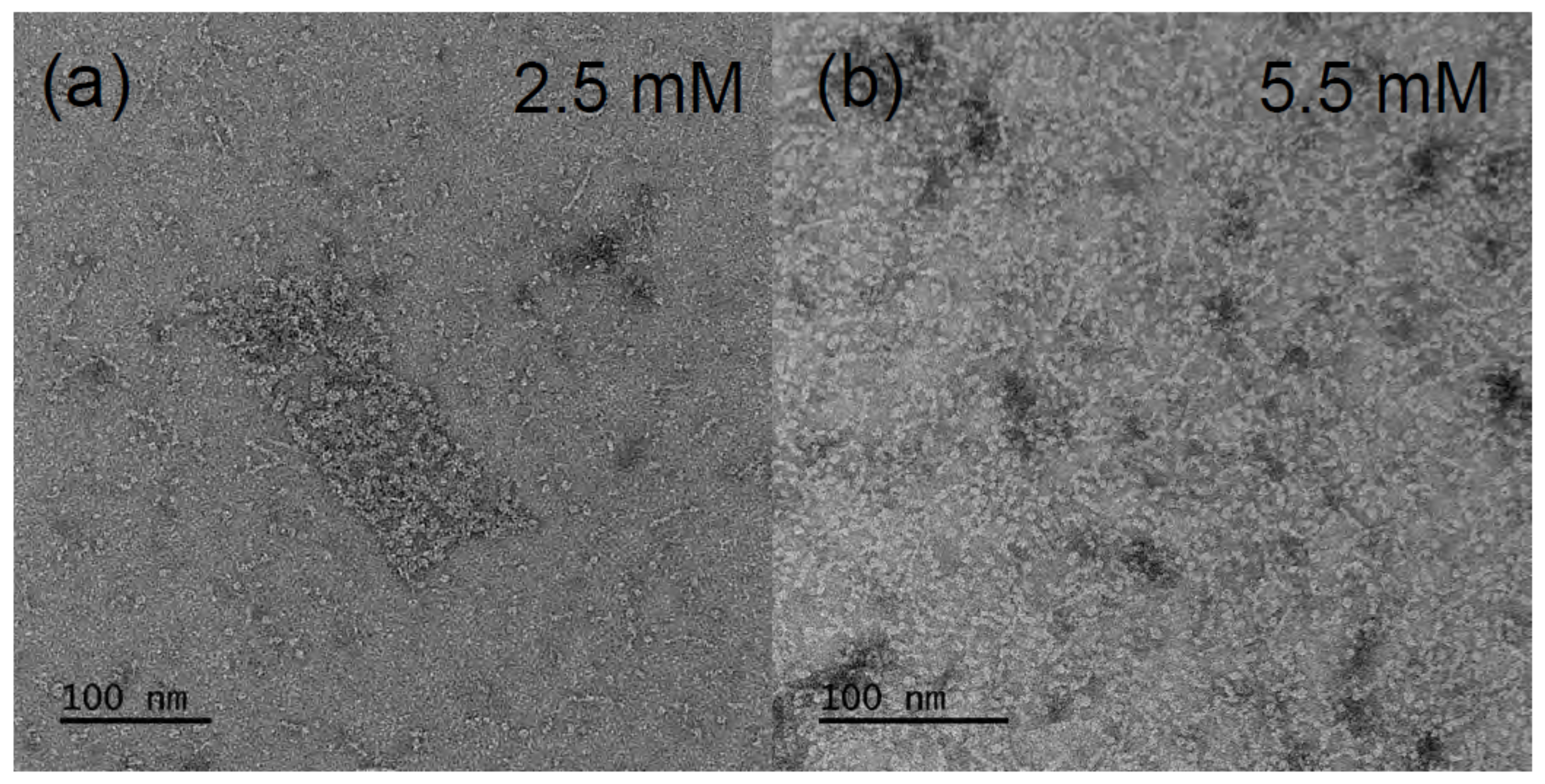 Molecules 25 00117 g003