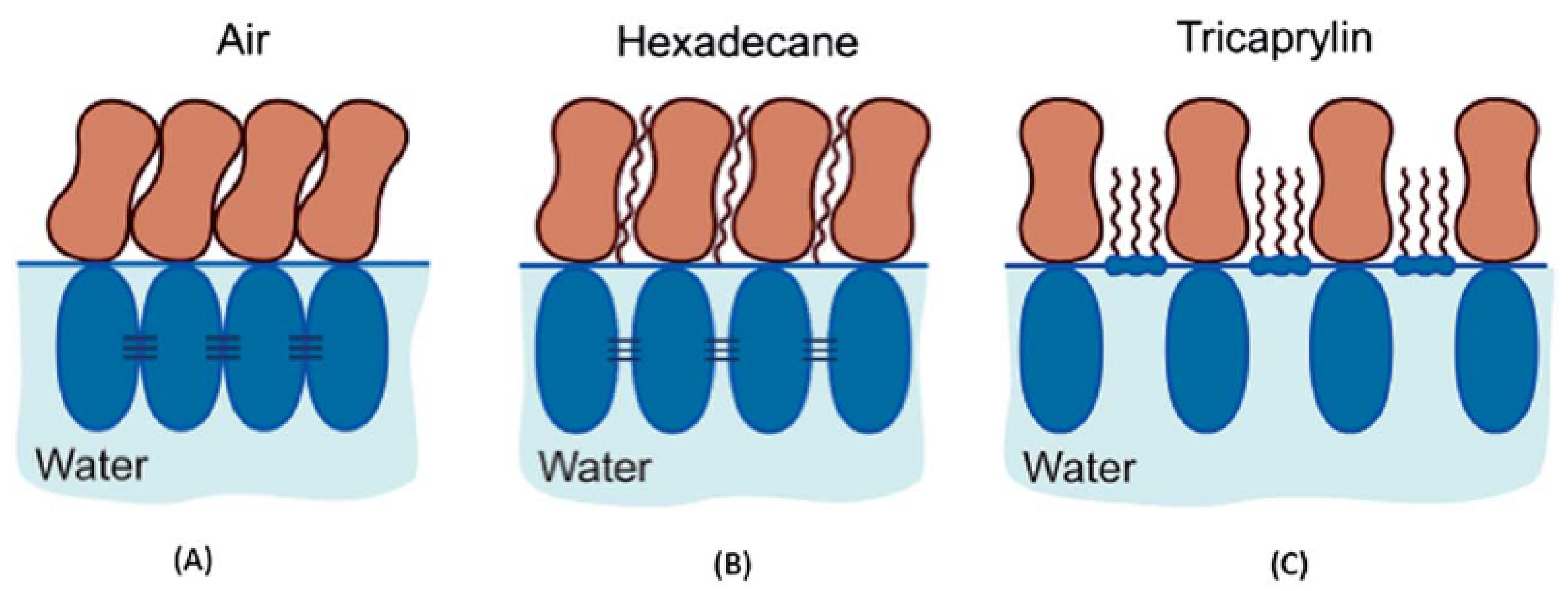 Molecules 25 00117 g004