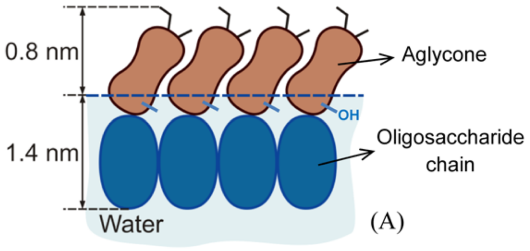 Molecules 25 00117 g006