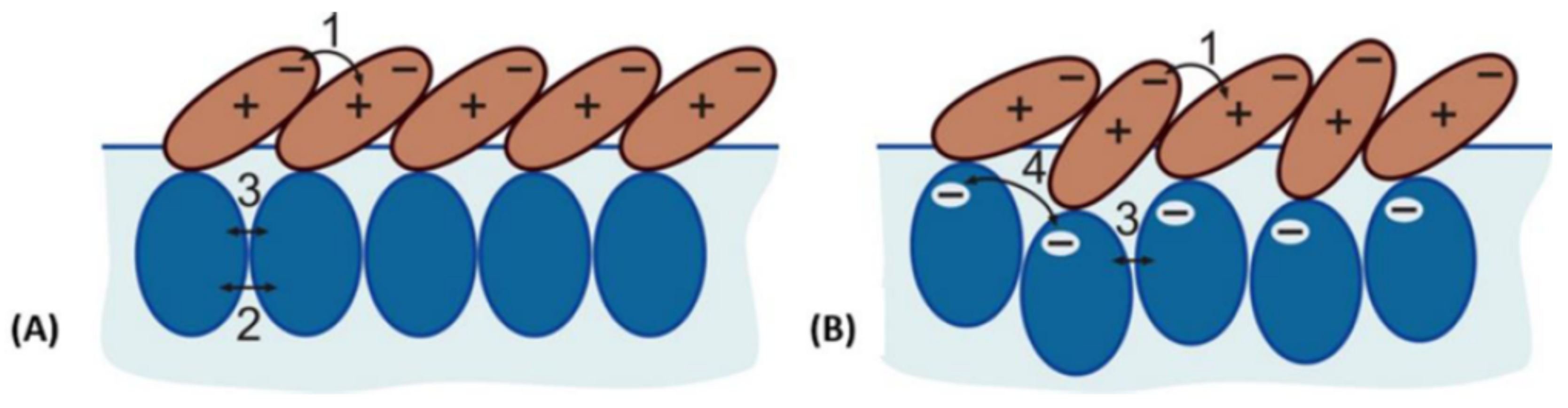 Molecules 25 00117 g007