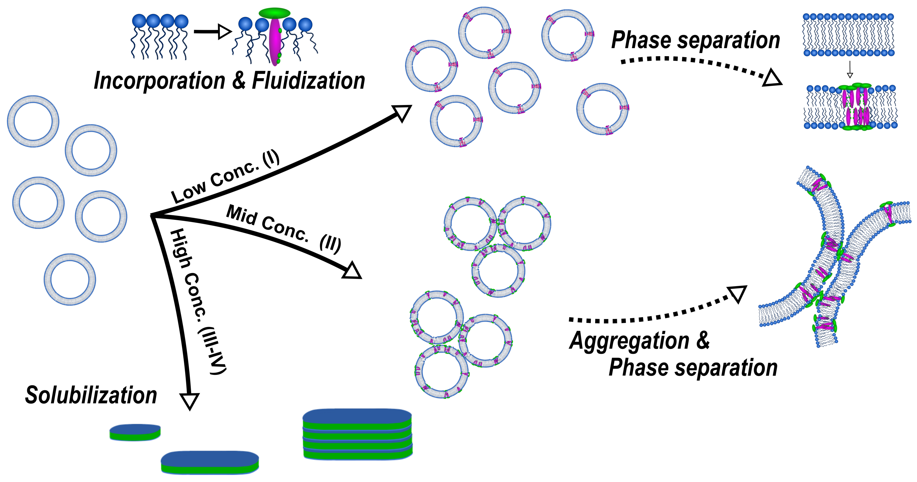 Molecules 25 00117 g008