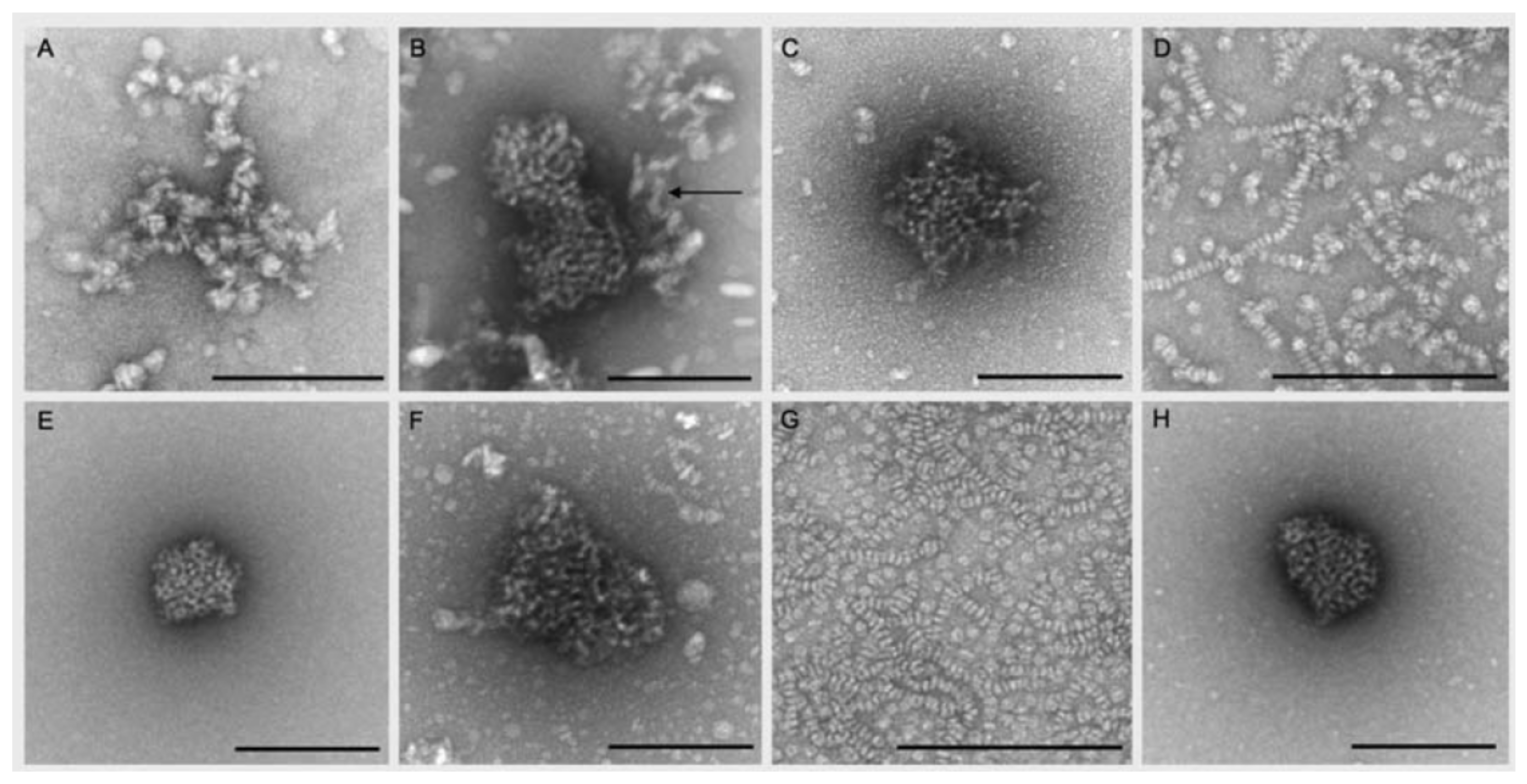 Molecules 25 00117 g013