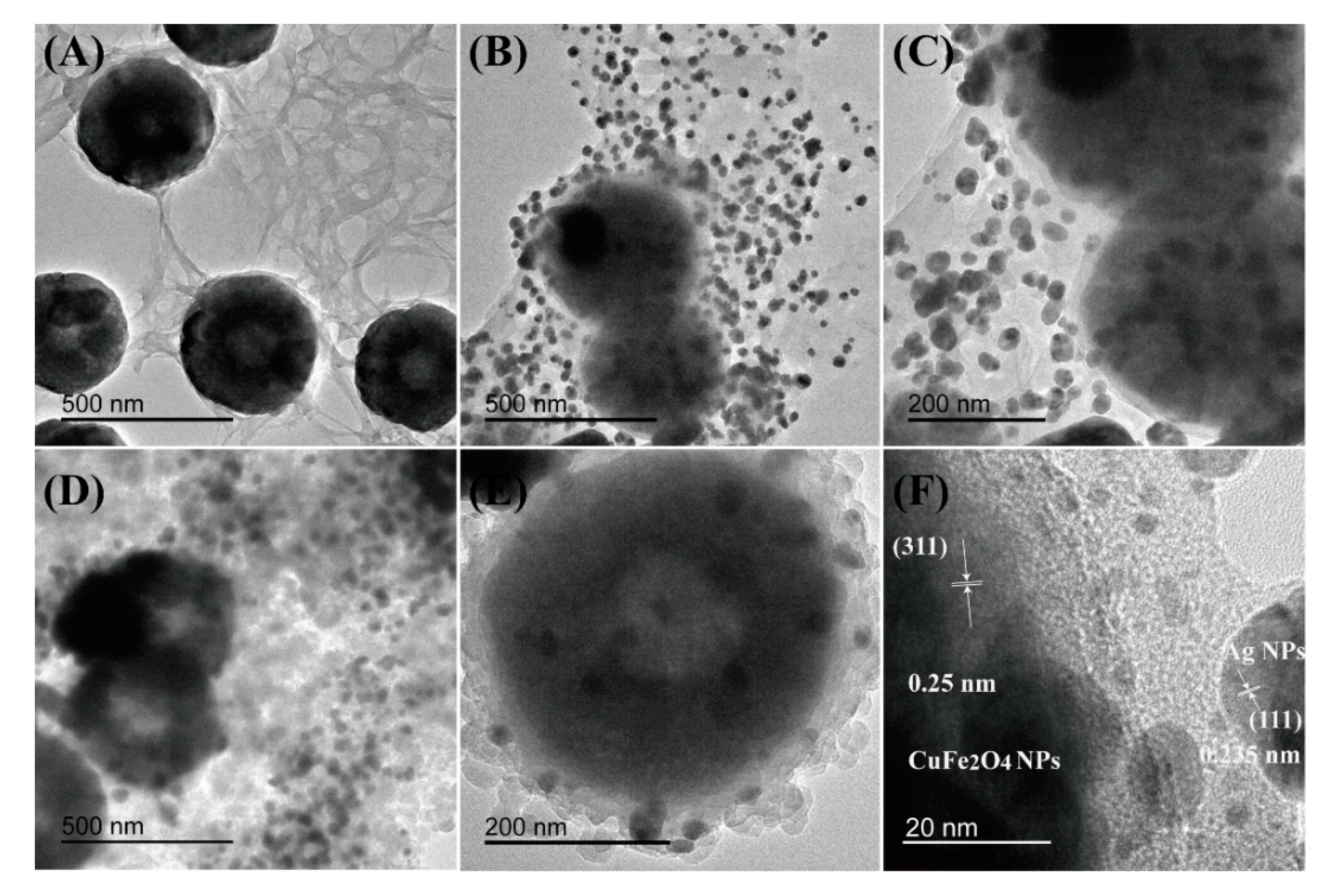 Molecules 25 00124 g001