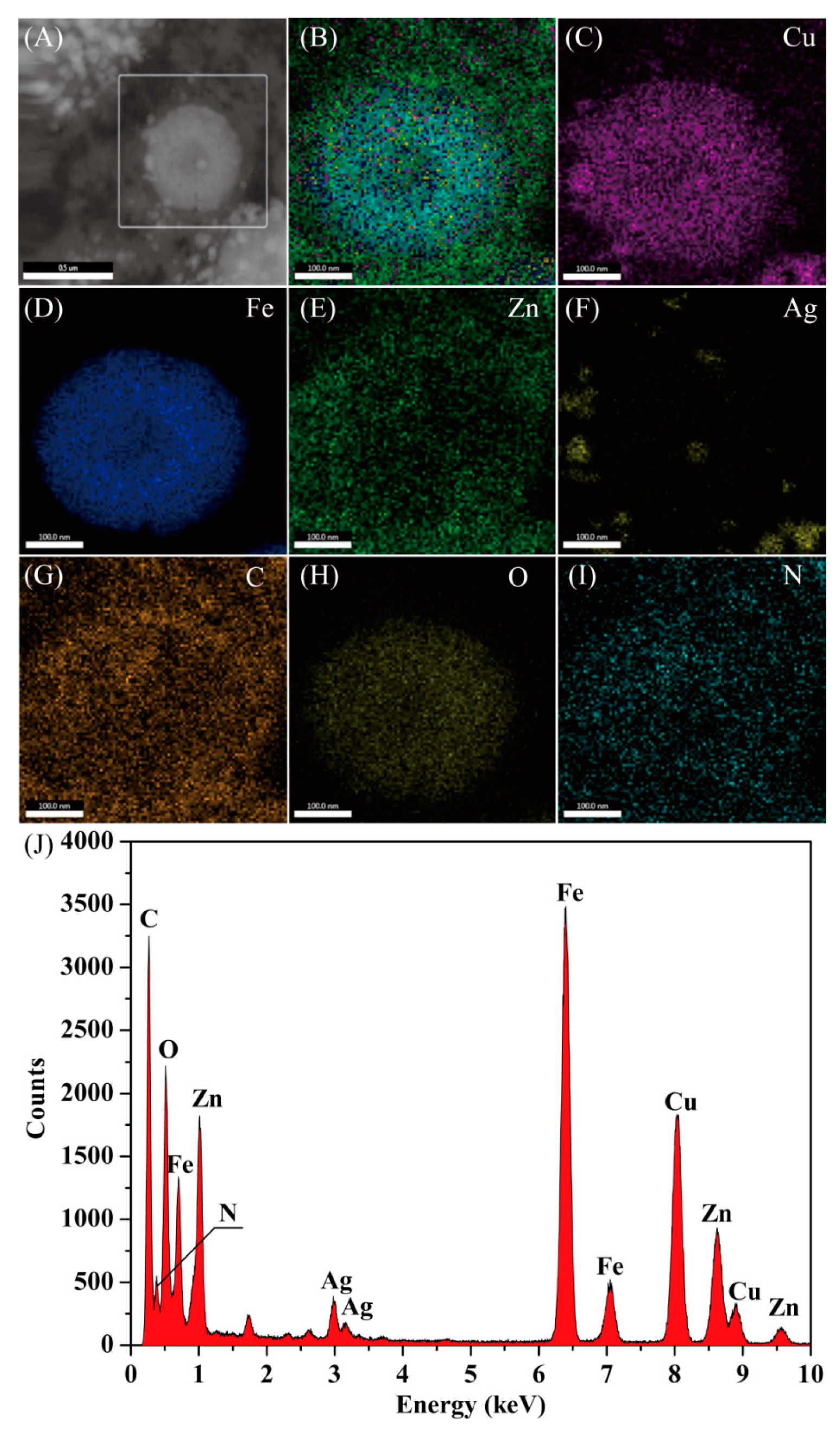Molecules 25 00124 g002