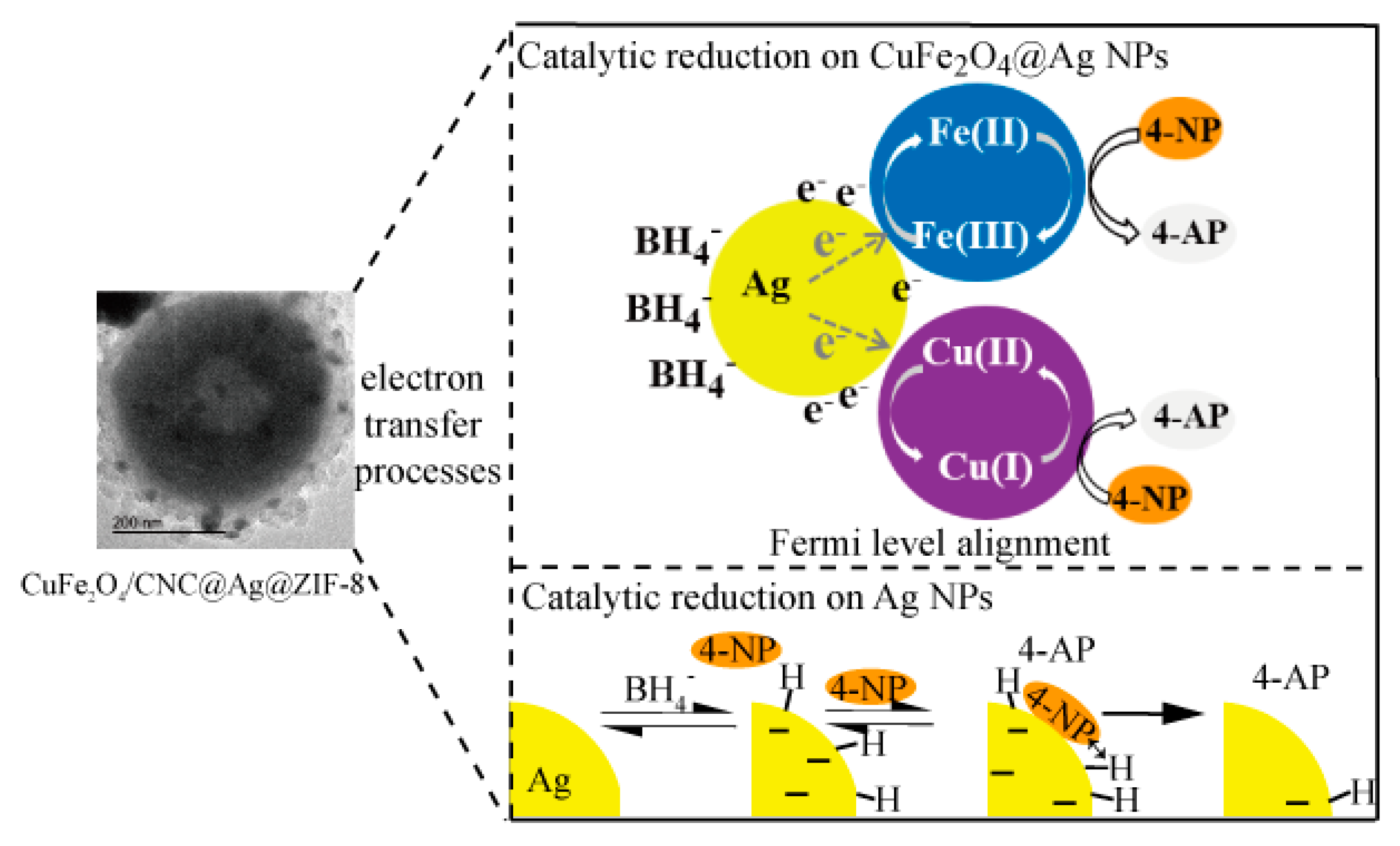 Molecules 25 00124 sch002