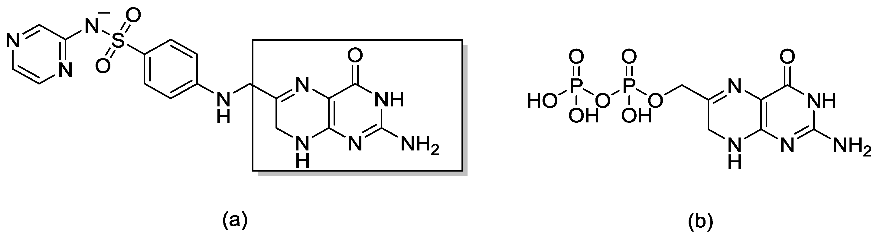 Molecules 25 00138 g005