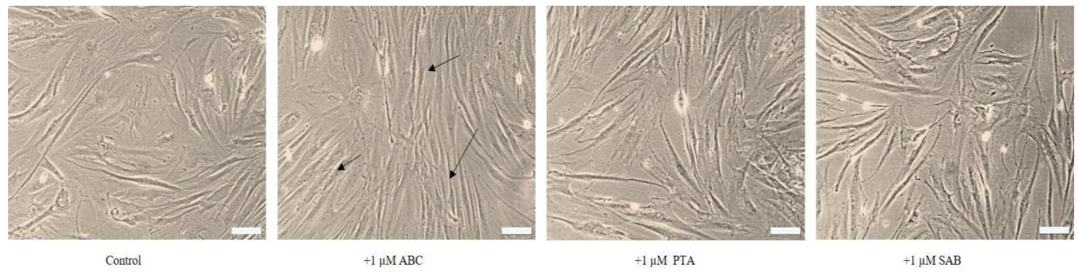 Molecules 25 00141 g004 Molecules 25 00141 g004