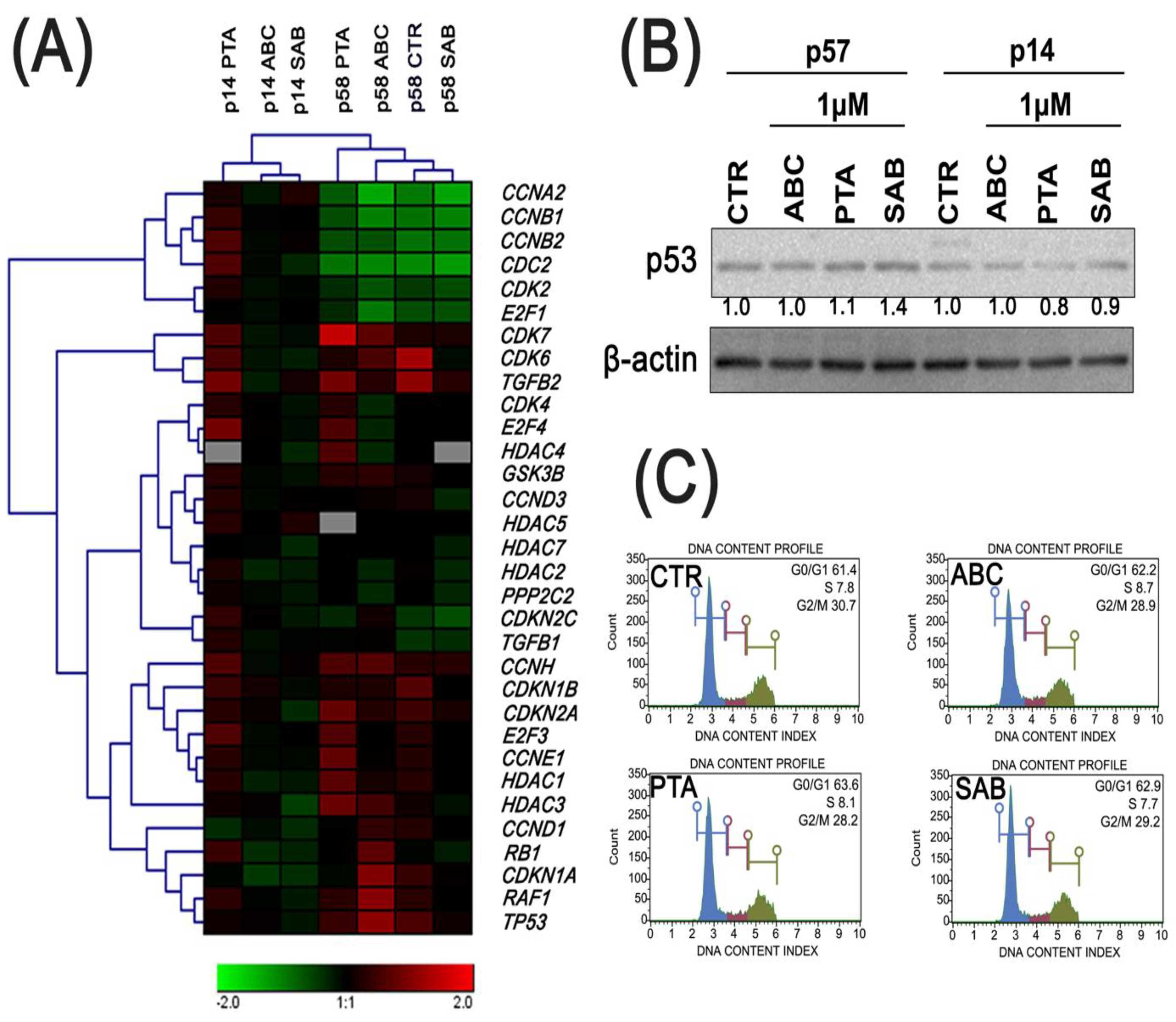 Molecules 25 00141 g005 Molecules 25 00141 g005