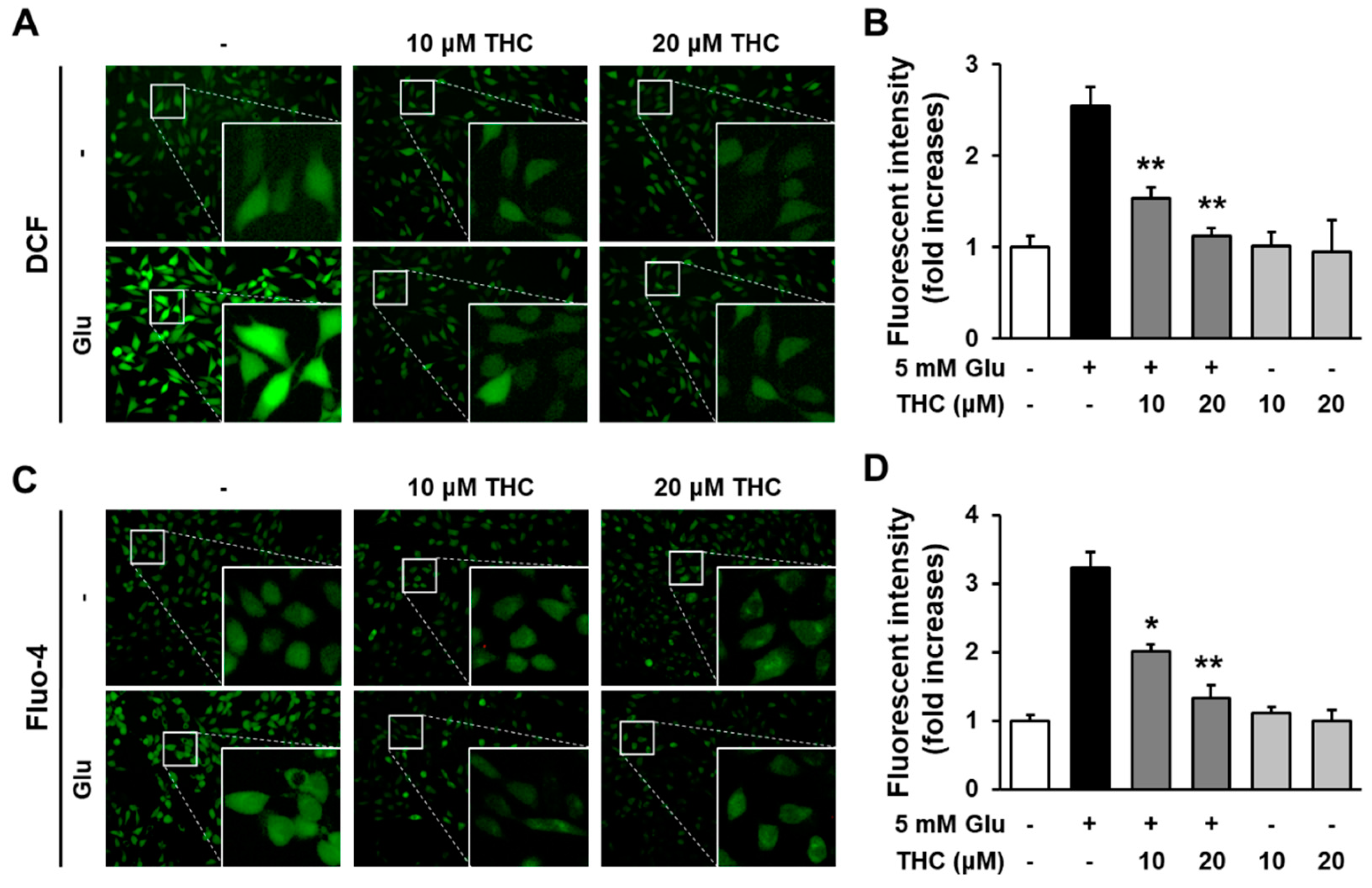 Molecules 25 00144 g003