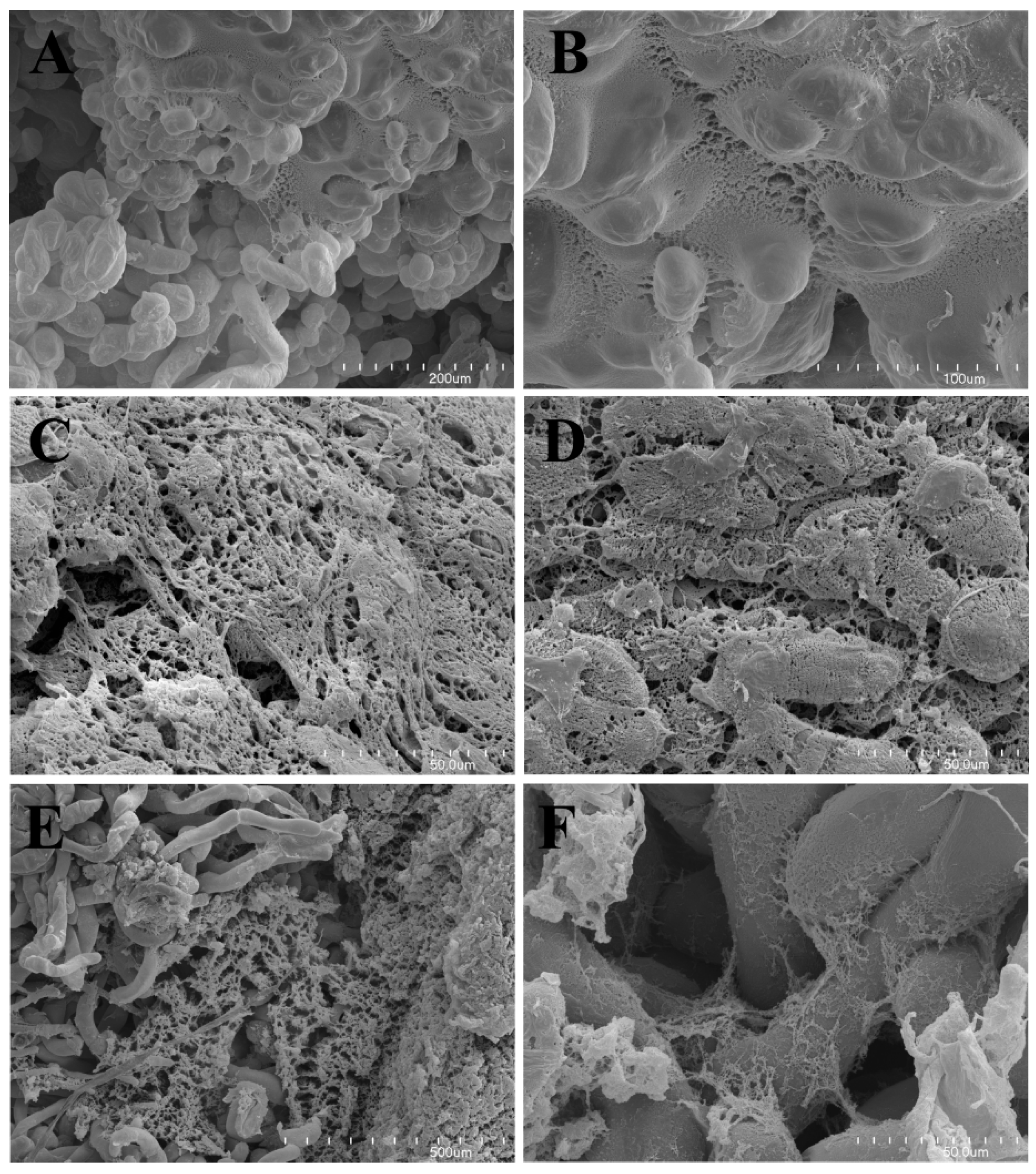 Molecules 25 00146 g001