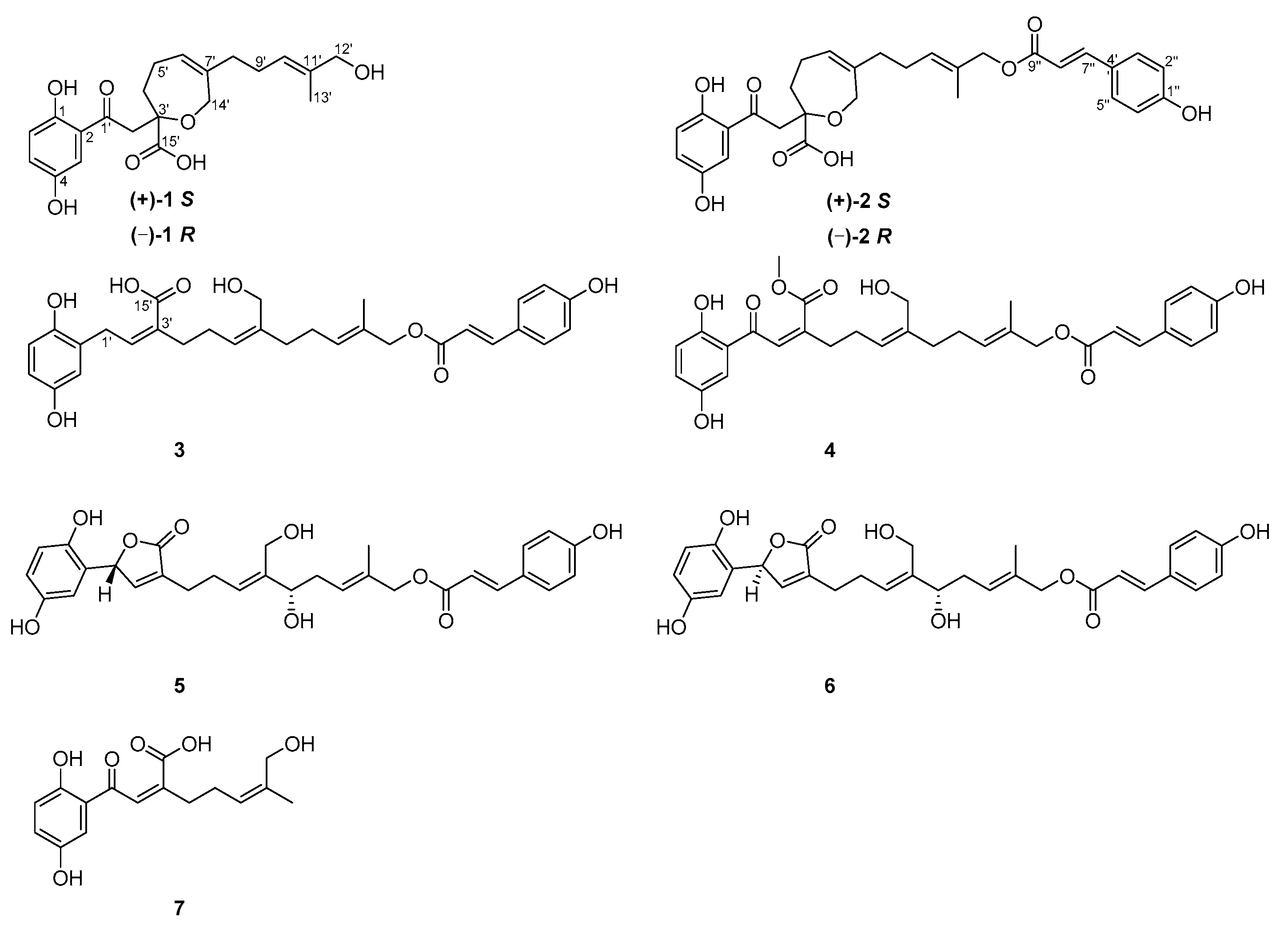 Molecules 25 00158 g001