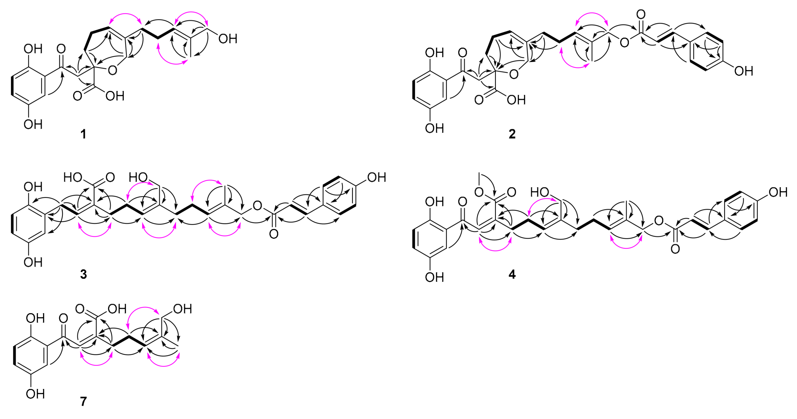 Molecules 25 00158 g002
