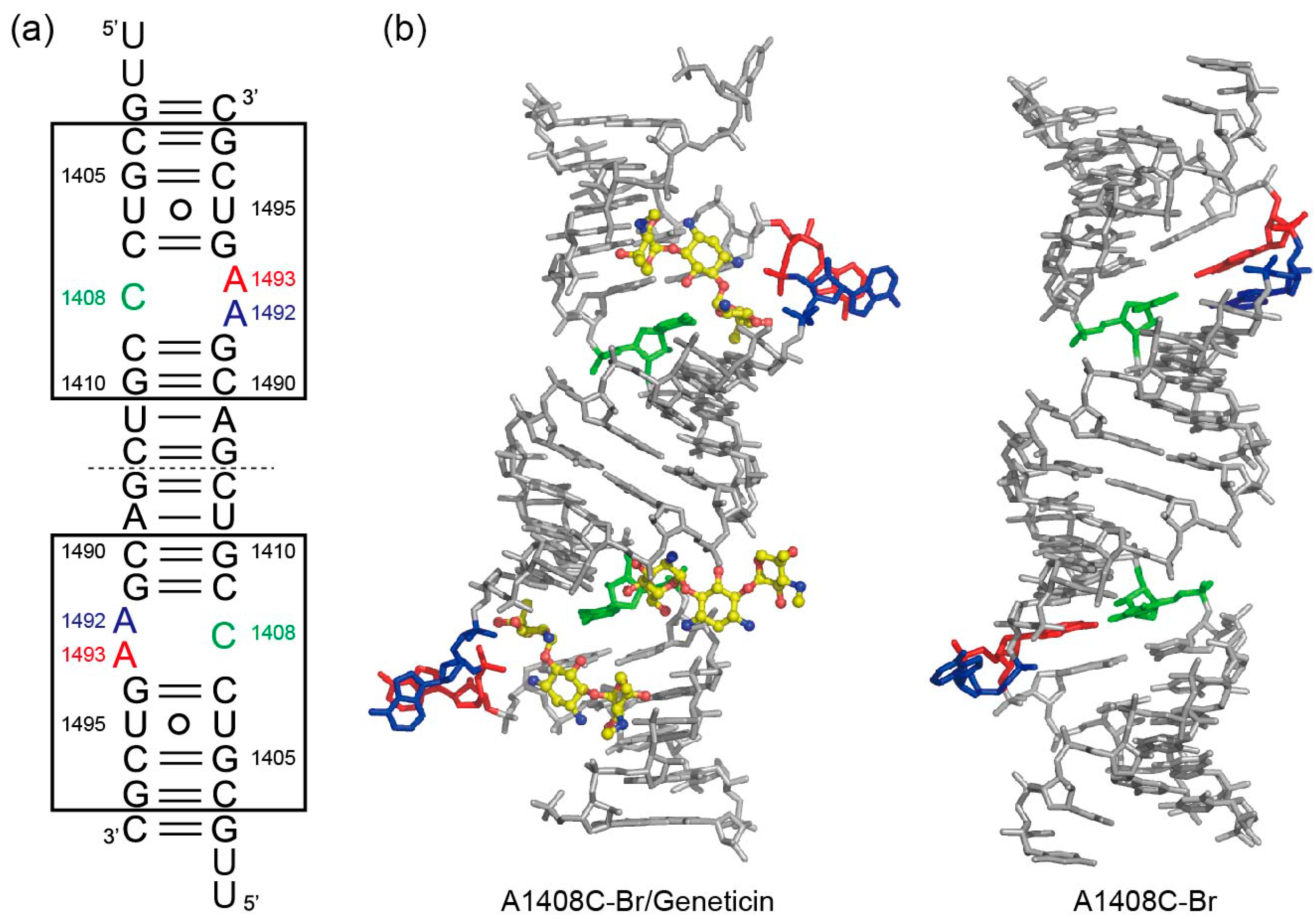 Molecules 25 00159 g002
