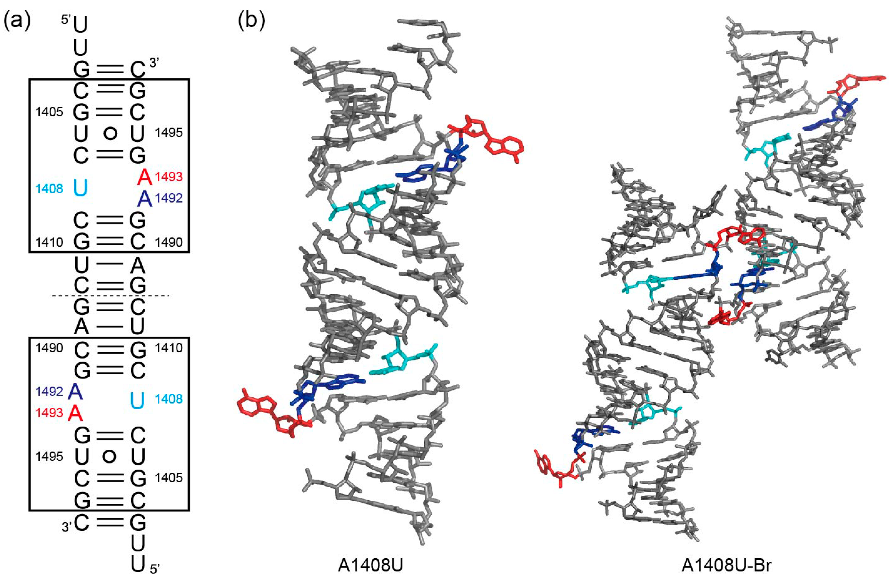 Molecules 25 00159 g006