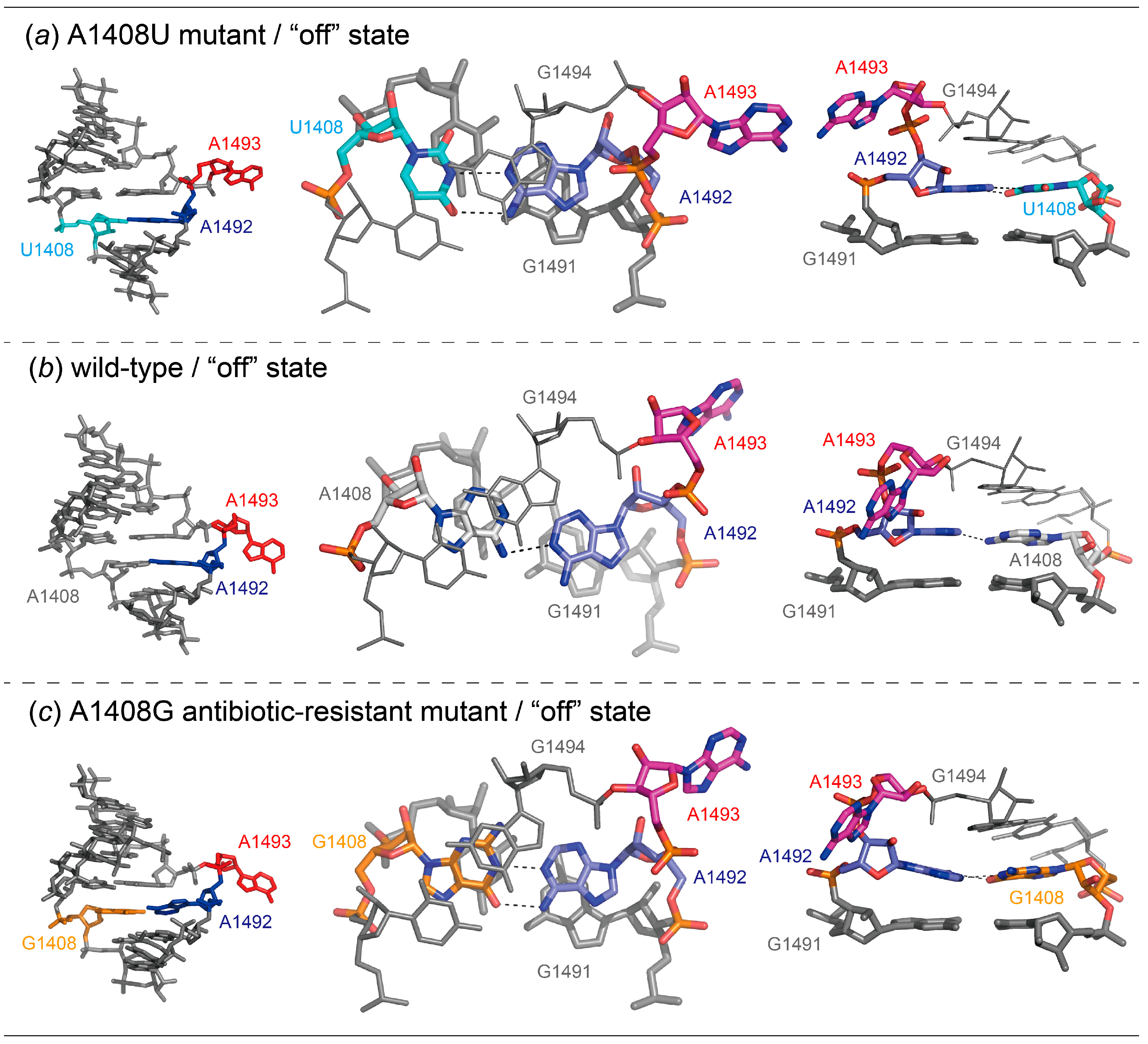 Molecules 25 00159 g007