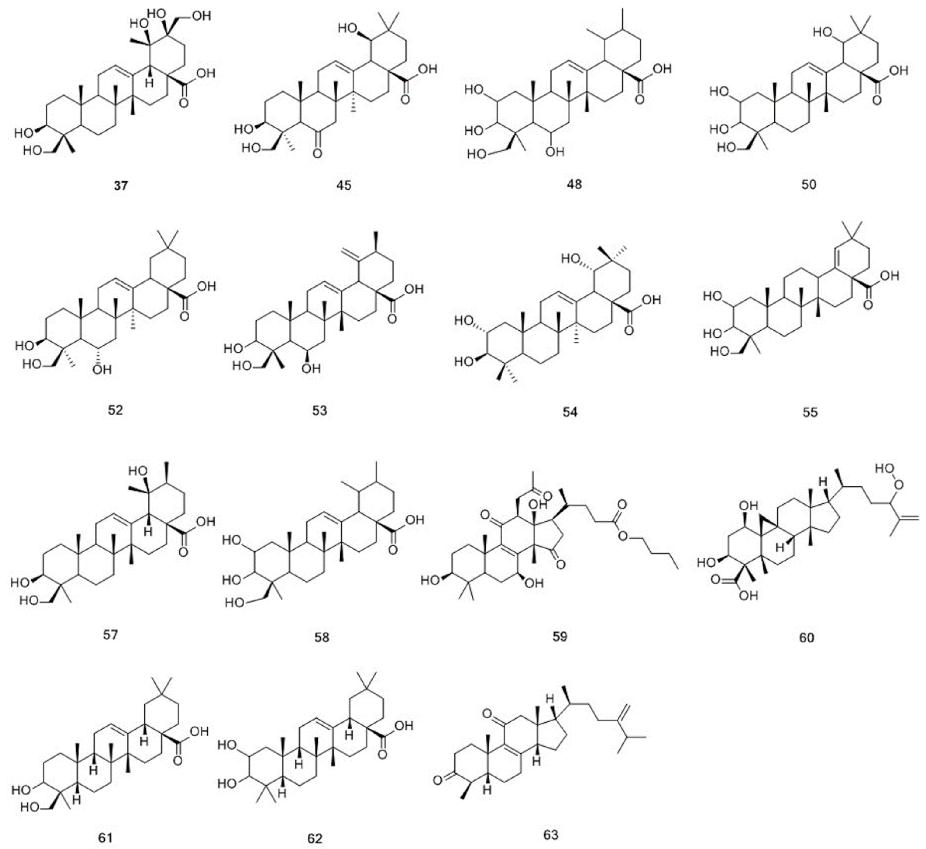 Molecules 25 00160 g004