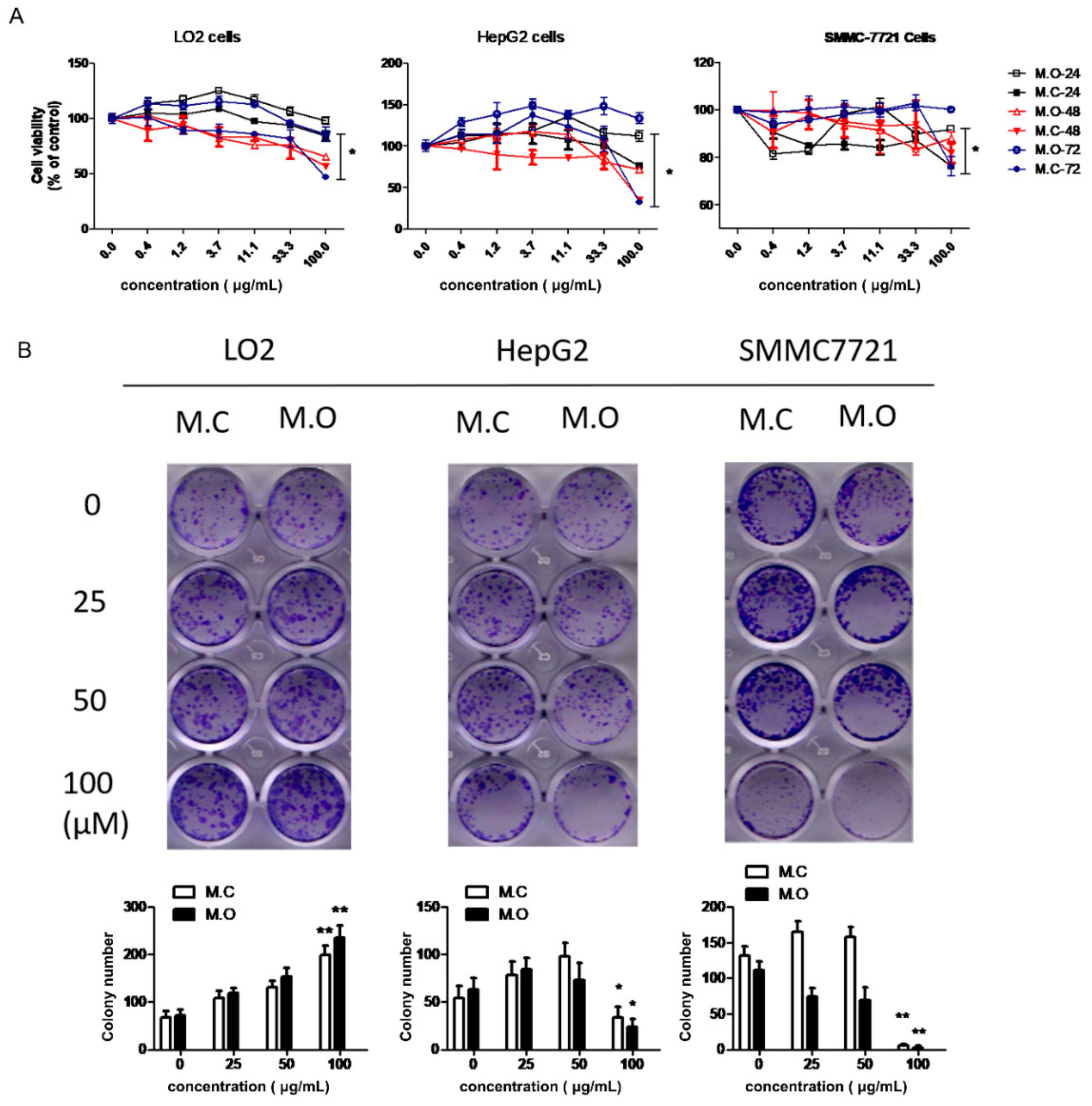 Molecules 25 00160 g006